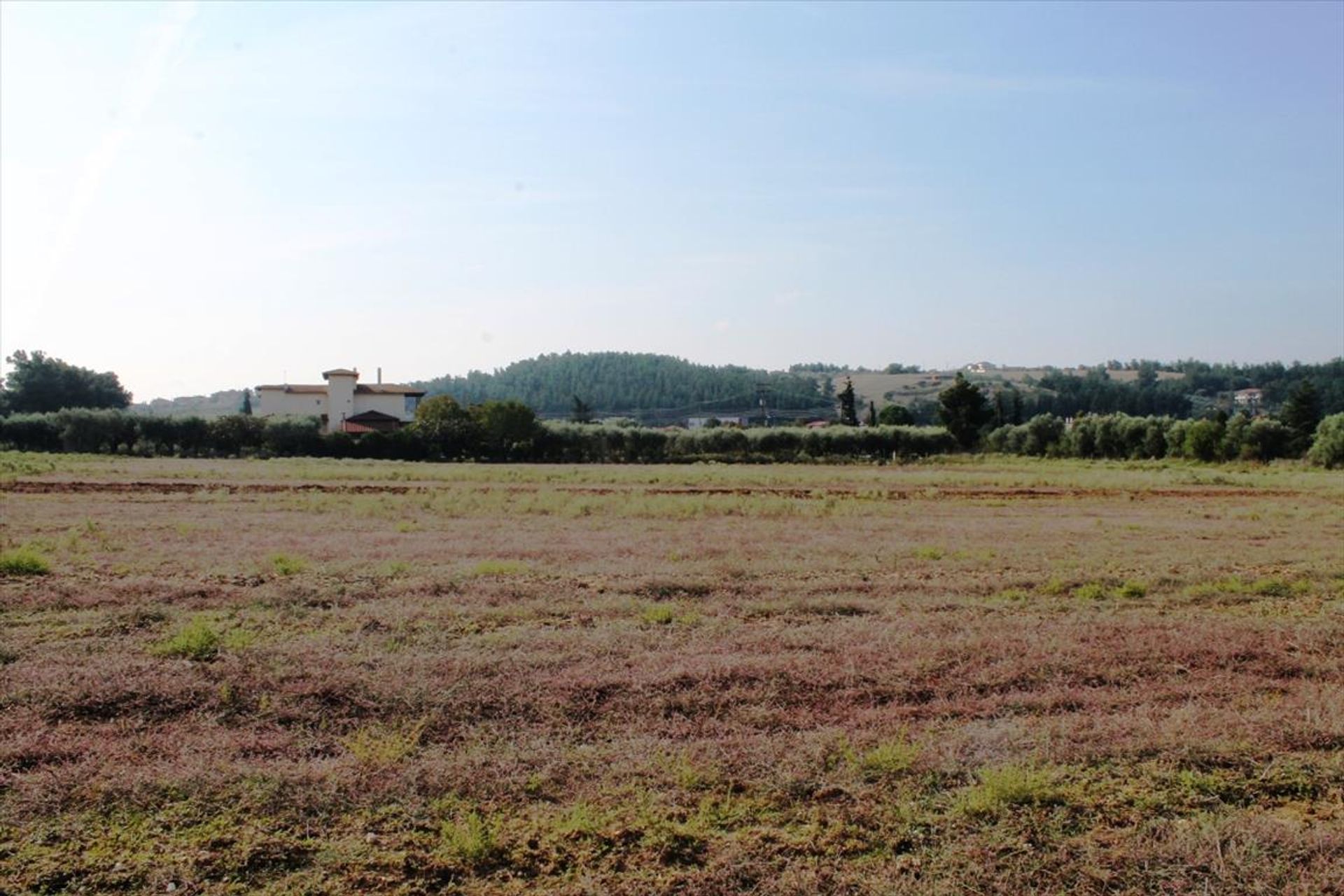 Tanah dalam Nea Raidestos, Kentriki Makedonia 10807201