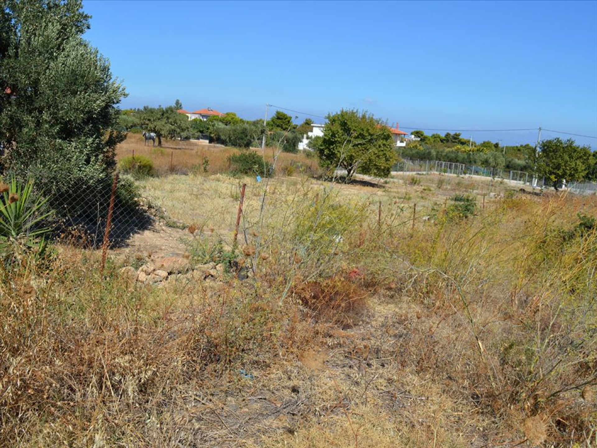 Land in Mantra Diakou, Attiki 10807232