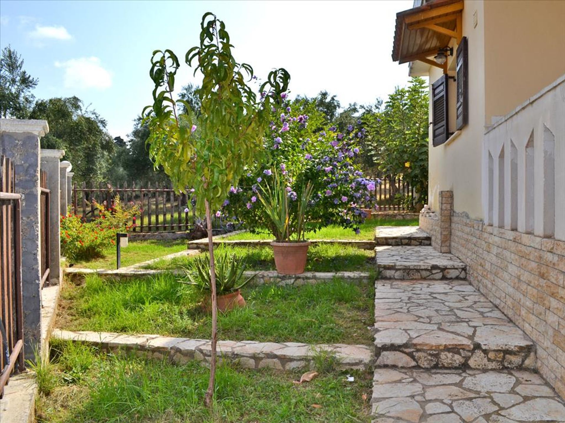 House in Alpochori, Dytiki Ellada 10807253