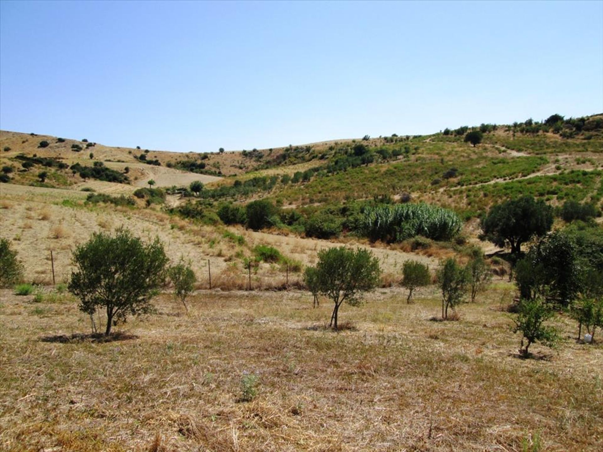 Terre dans Agios Nikolaos,  10807348