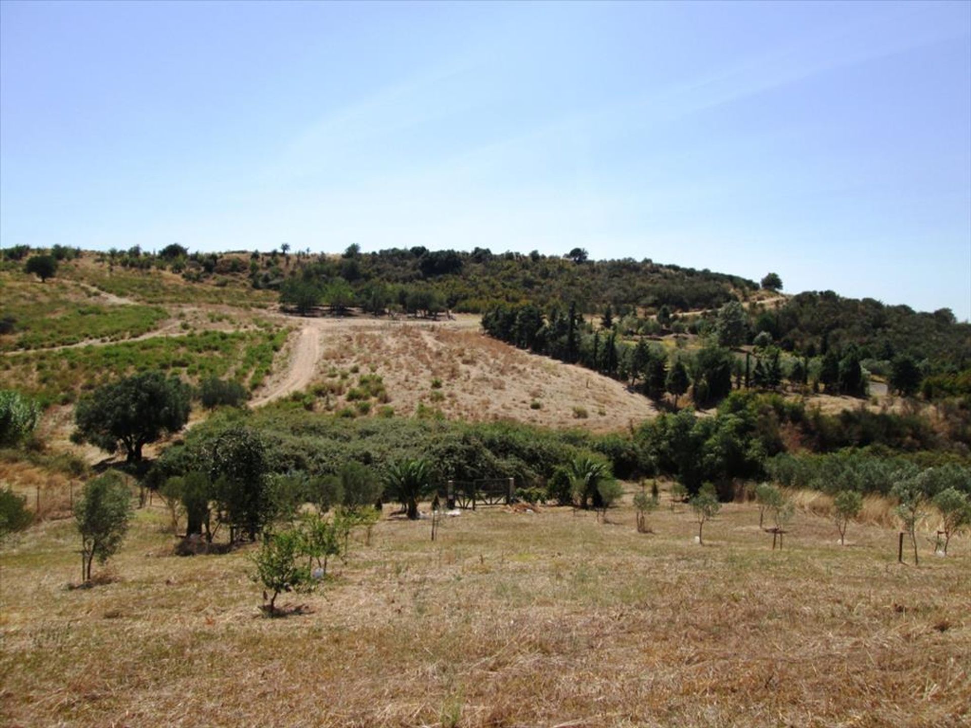 Terre dans Agios Nikolaos,  10807348