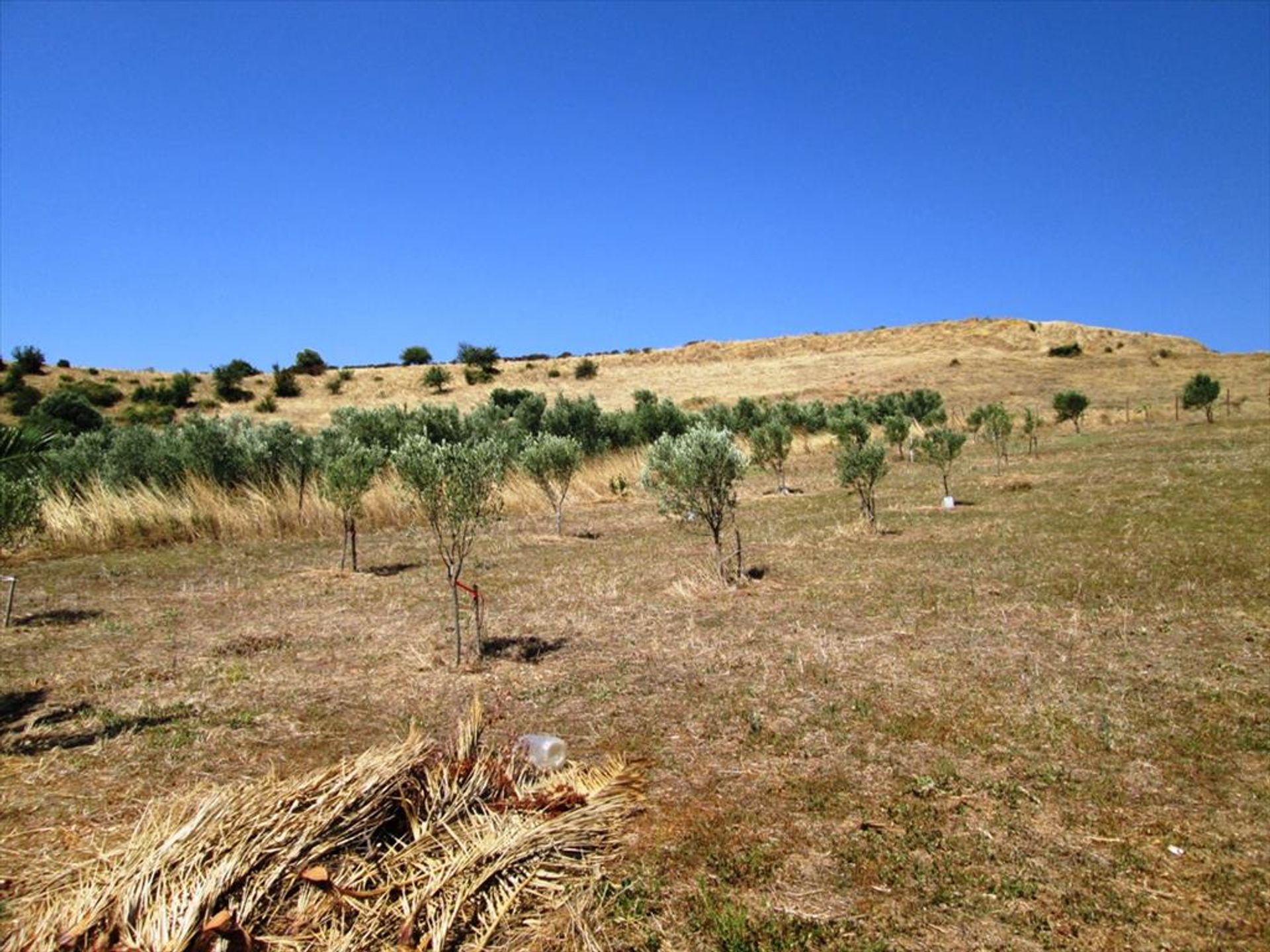 Tierra en Agios Nikolaos,  10807348