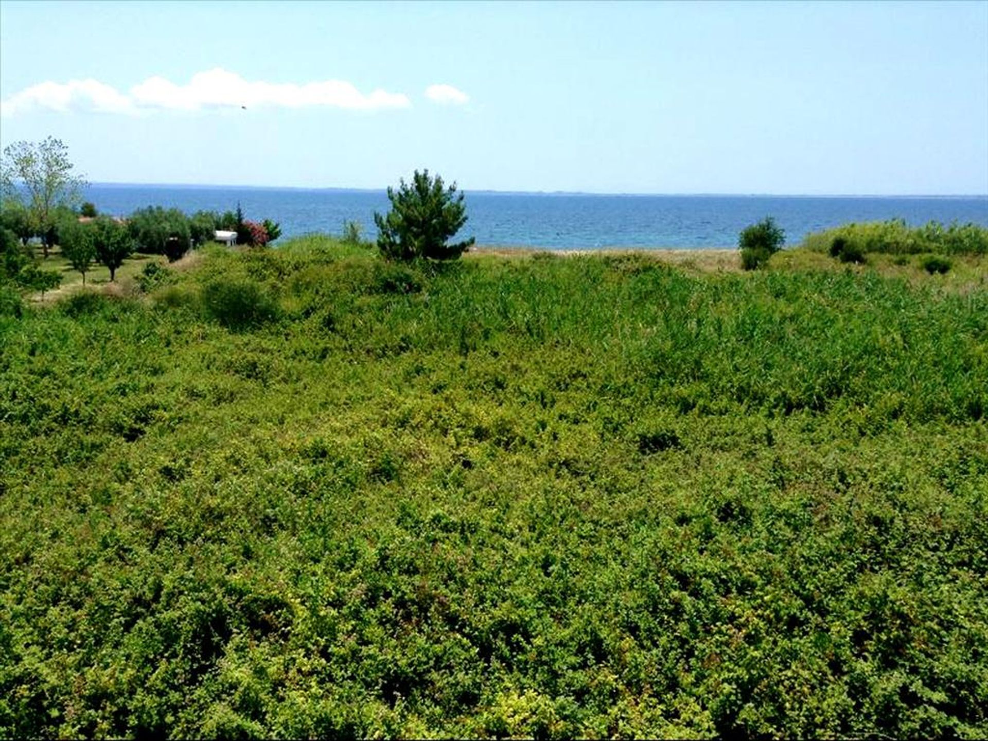 Terra no Gerakini, Kentriki Makedonia 10807400