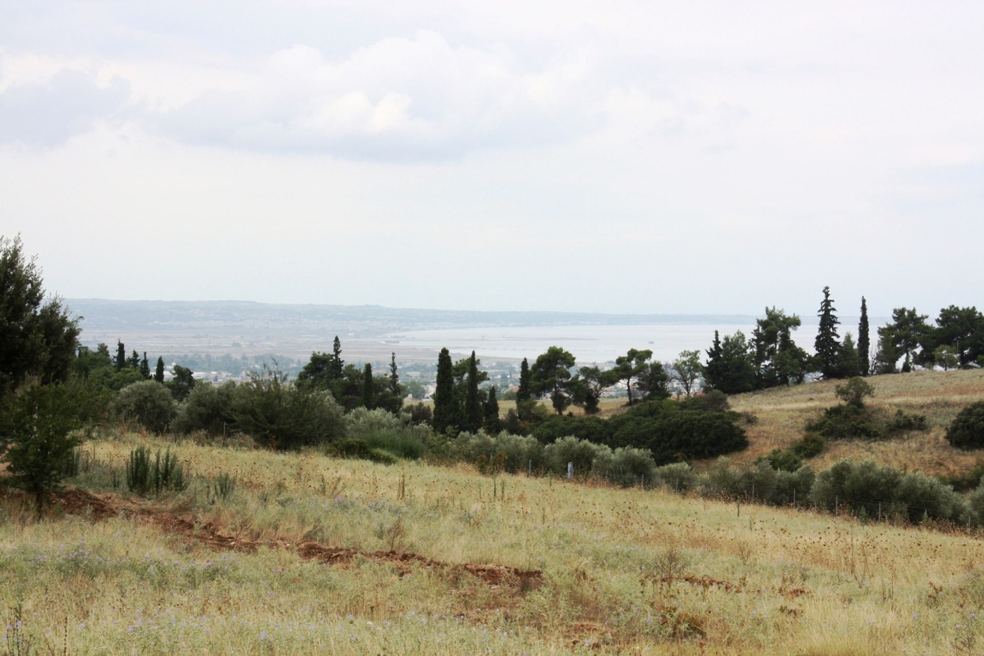 Land in Panorama, Kentriki Makedonia 10807447