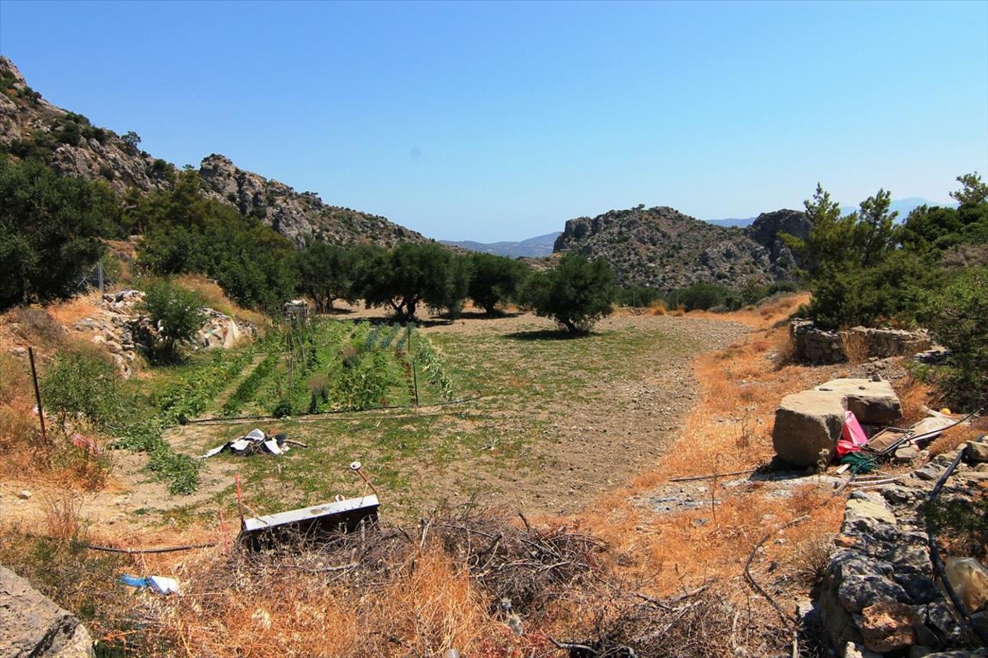 Terra no Meseleroi, Criti 10807590