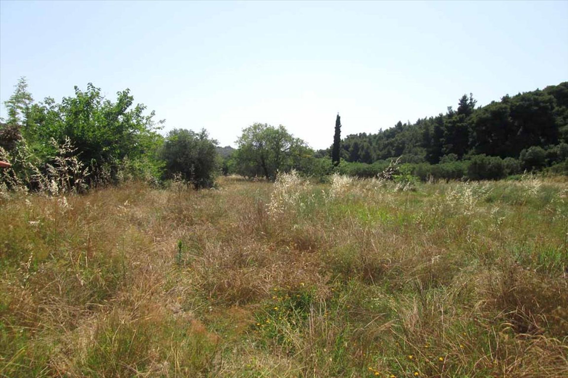 Land in Nikiti, Kentriki Makedonia 10807726