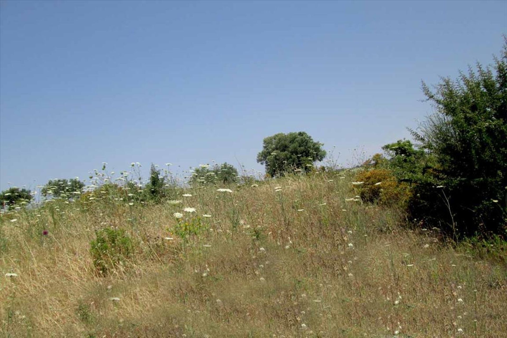 Land in Nikiti, Kentriki Makedonia 10807729