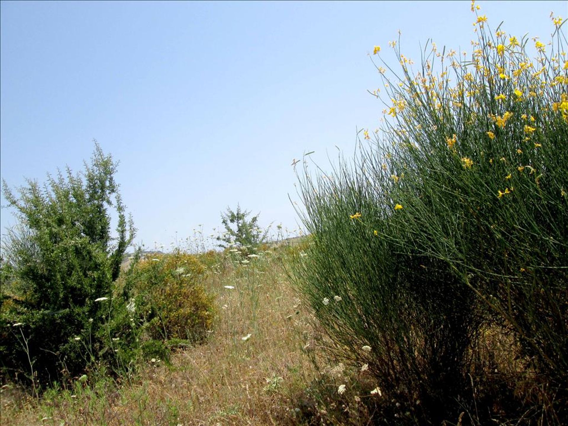 Tierra en nikiti, Kentriki Macedonia 10807729