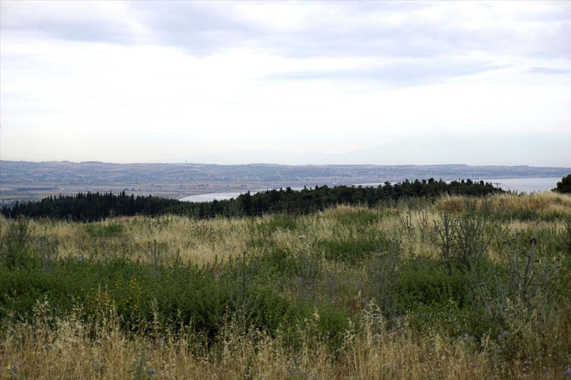 土地 在 Panorama, Kentriki Makedonia 10807766