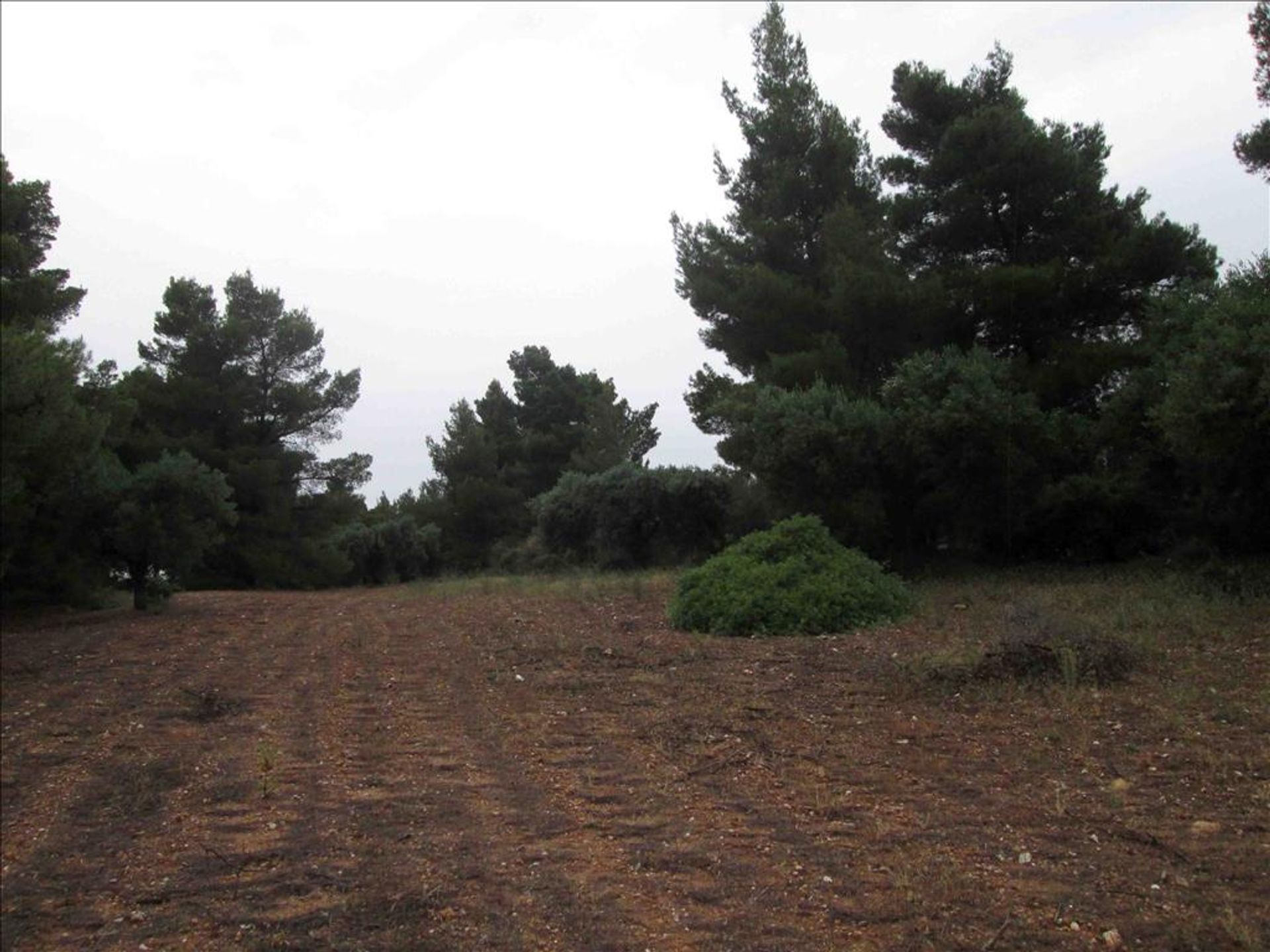 Land in Neos Marmaras, Kentriki Makedonia 10807782