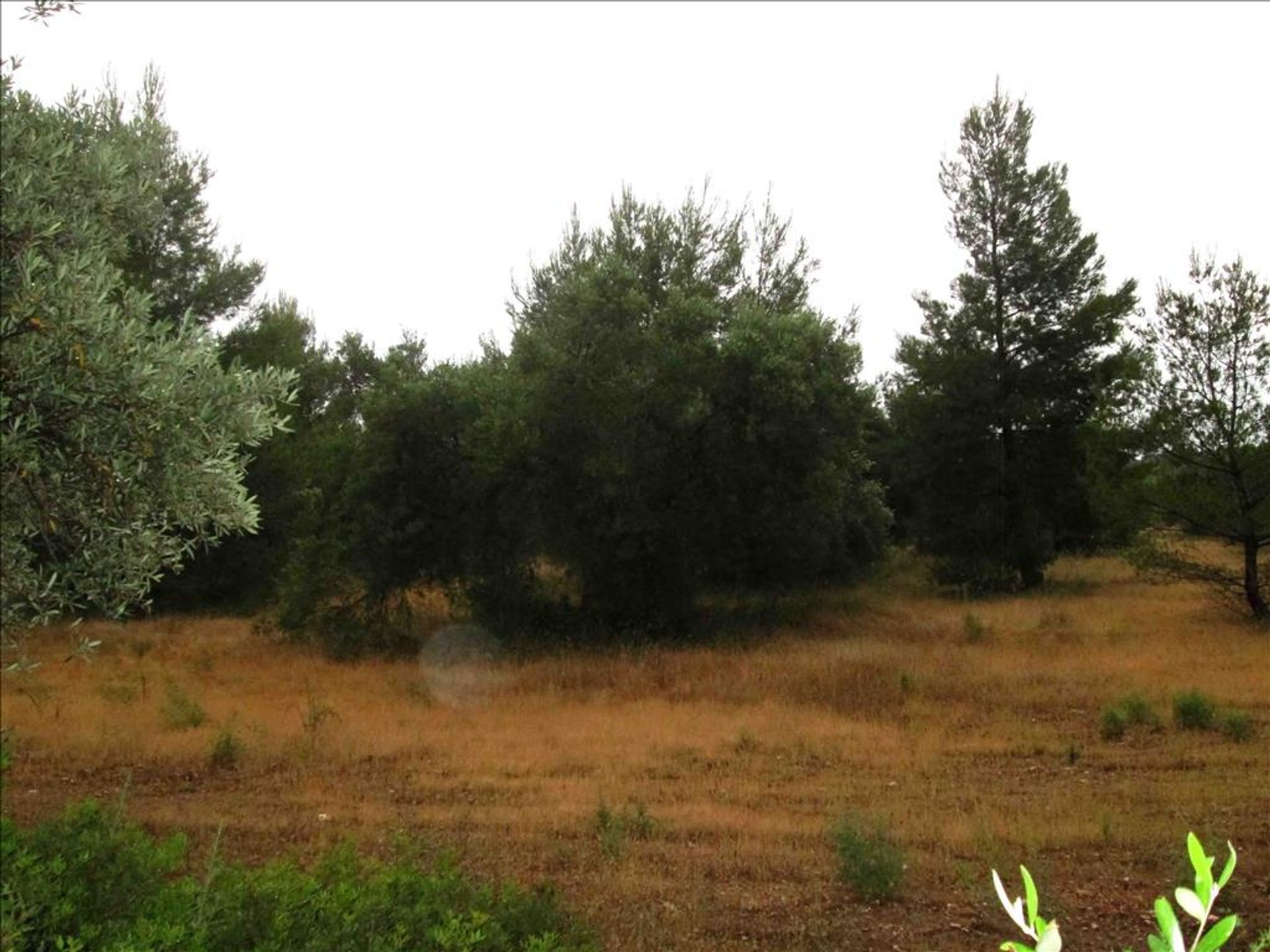 Land in Neos Marmaras, Kentriki Makedonia 10807782