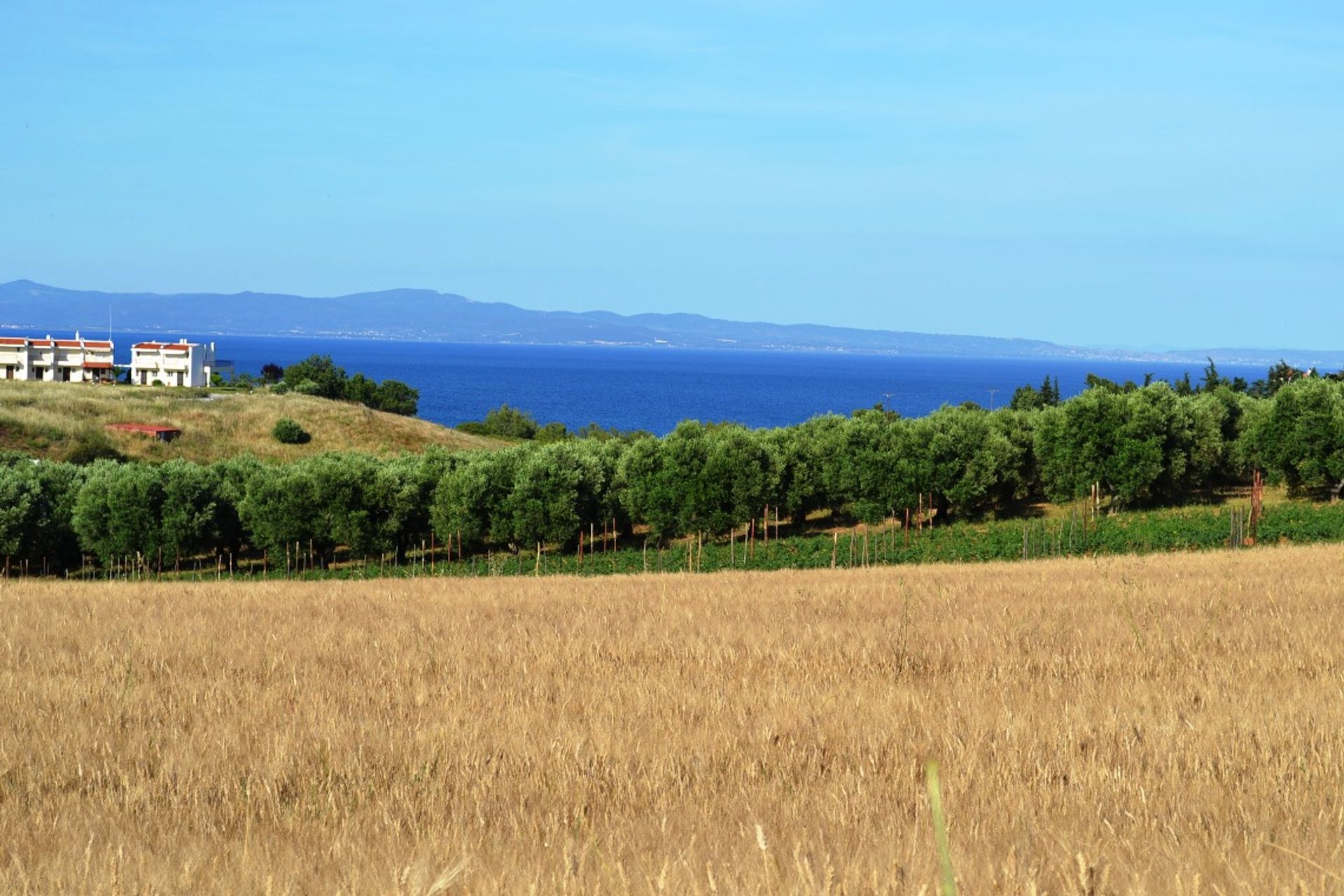 Tanah dalam Nea Moudania, Kentriki Makedonia 10807805