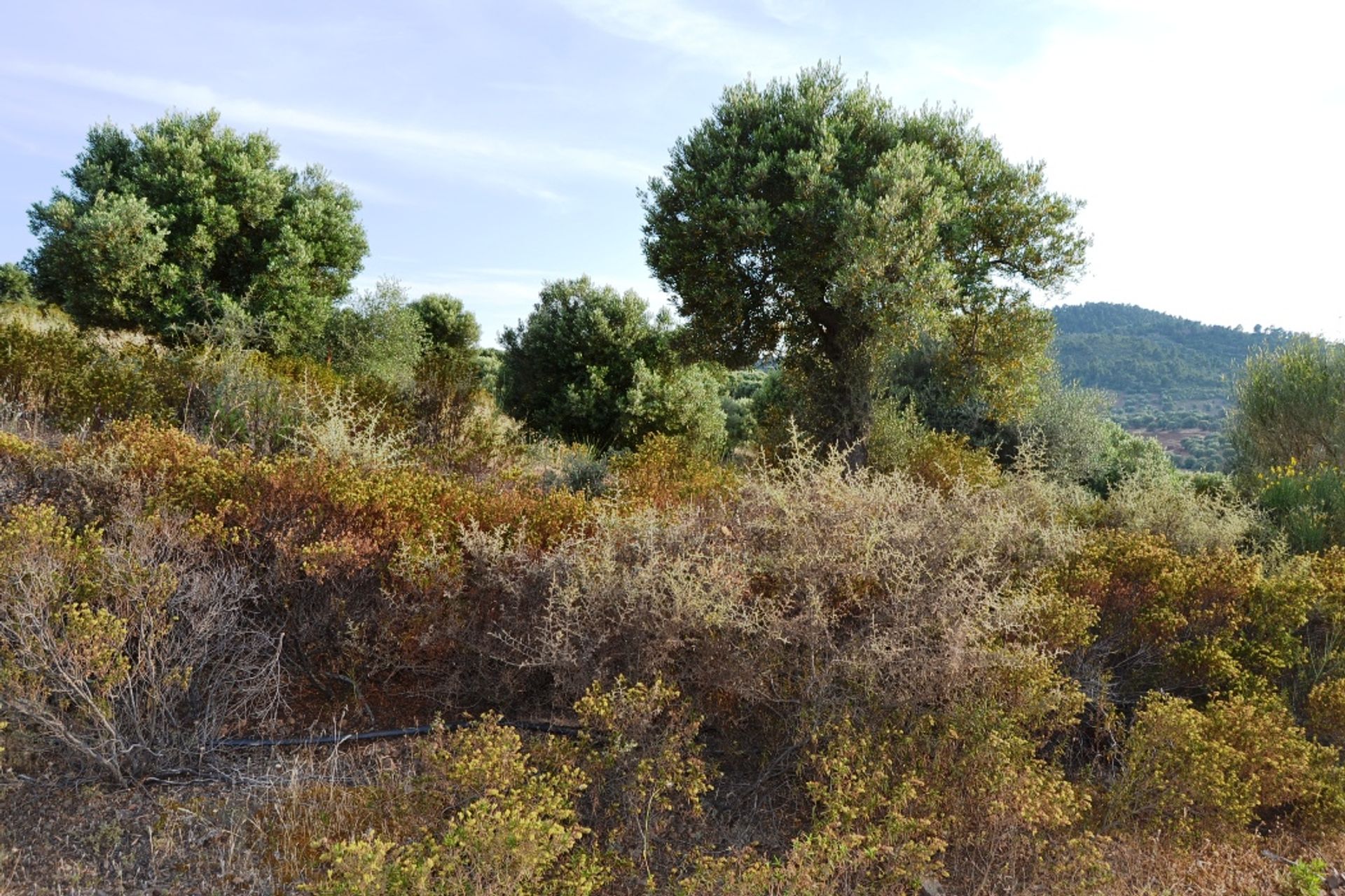 Γη σε Νέος Μαρμαράς, Κεντρική Μακεδονία 10807814