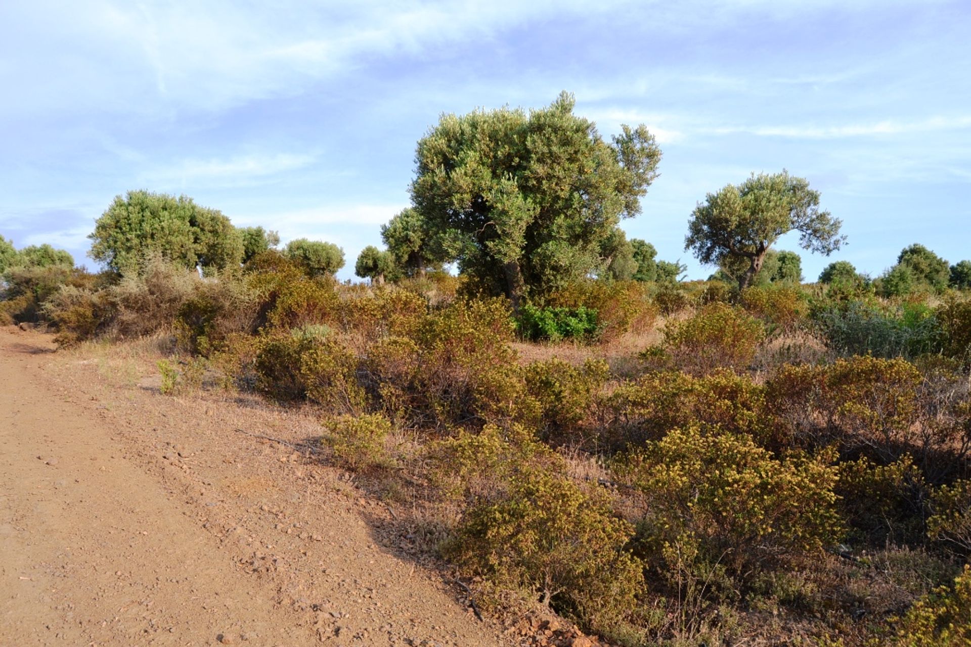 Land im Neos Marmaras, Kentriki Makedonia 10807814