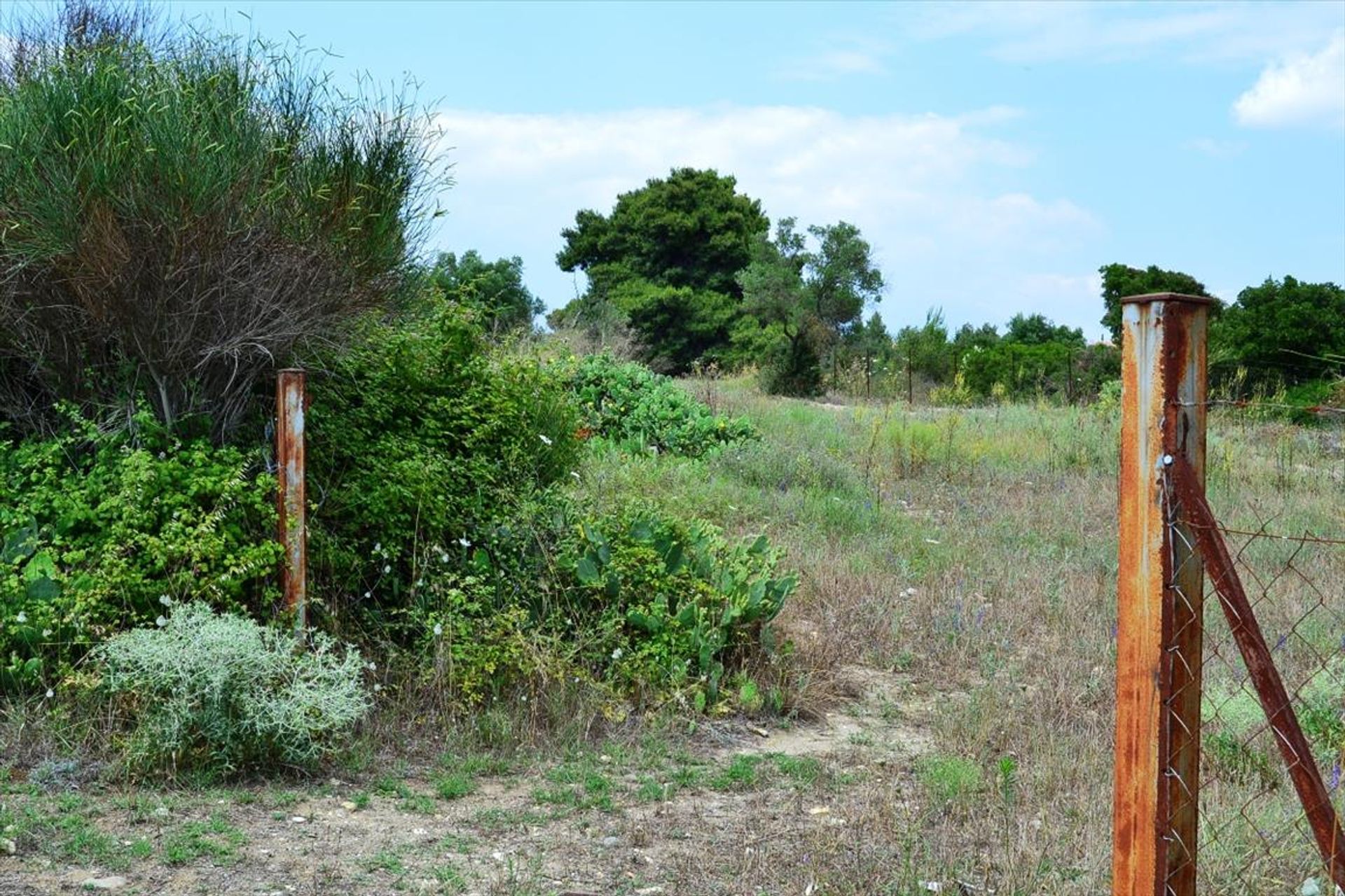 Tanah di Kassandreia, Kentriki Makedonia 10807908