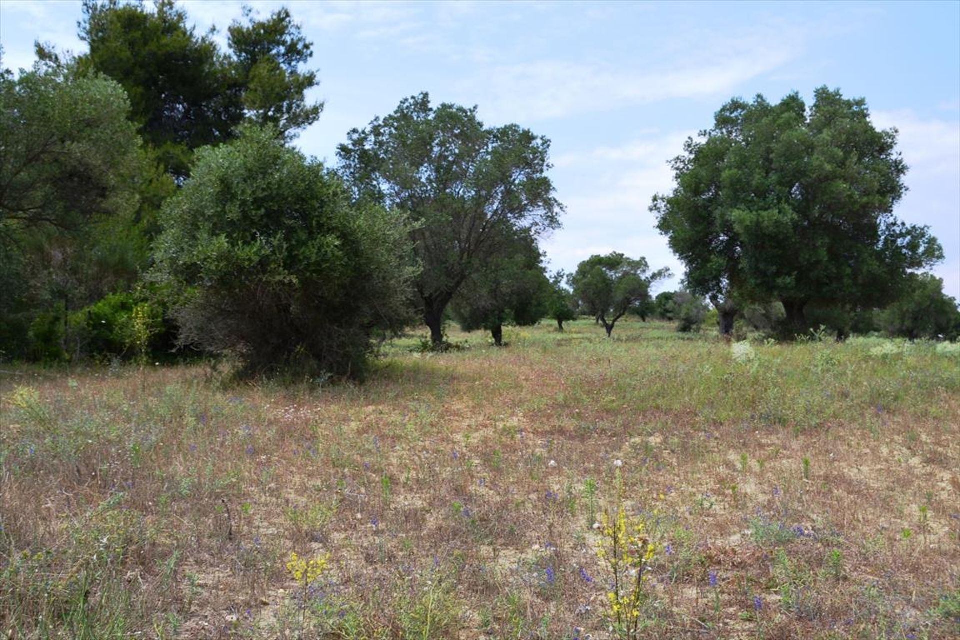 Tanah di Kassandreia, Kentriki Makedonia 10807908