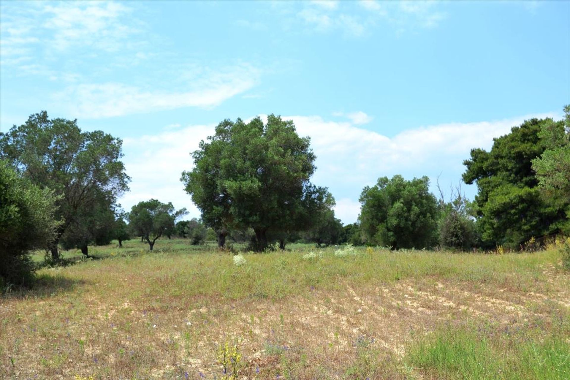 Tierra en Kassandreia, Kentriki Macedonia 10807908