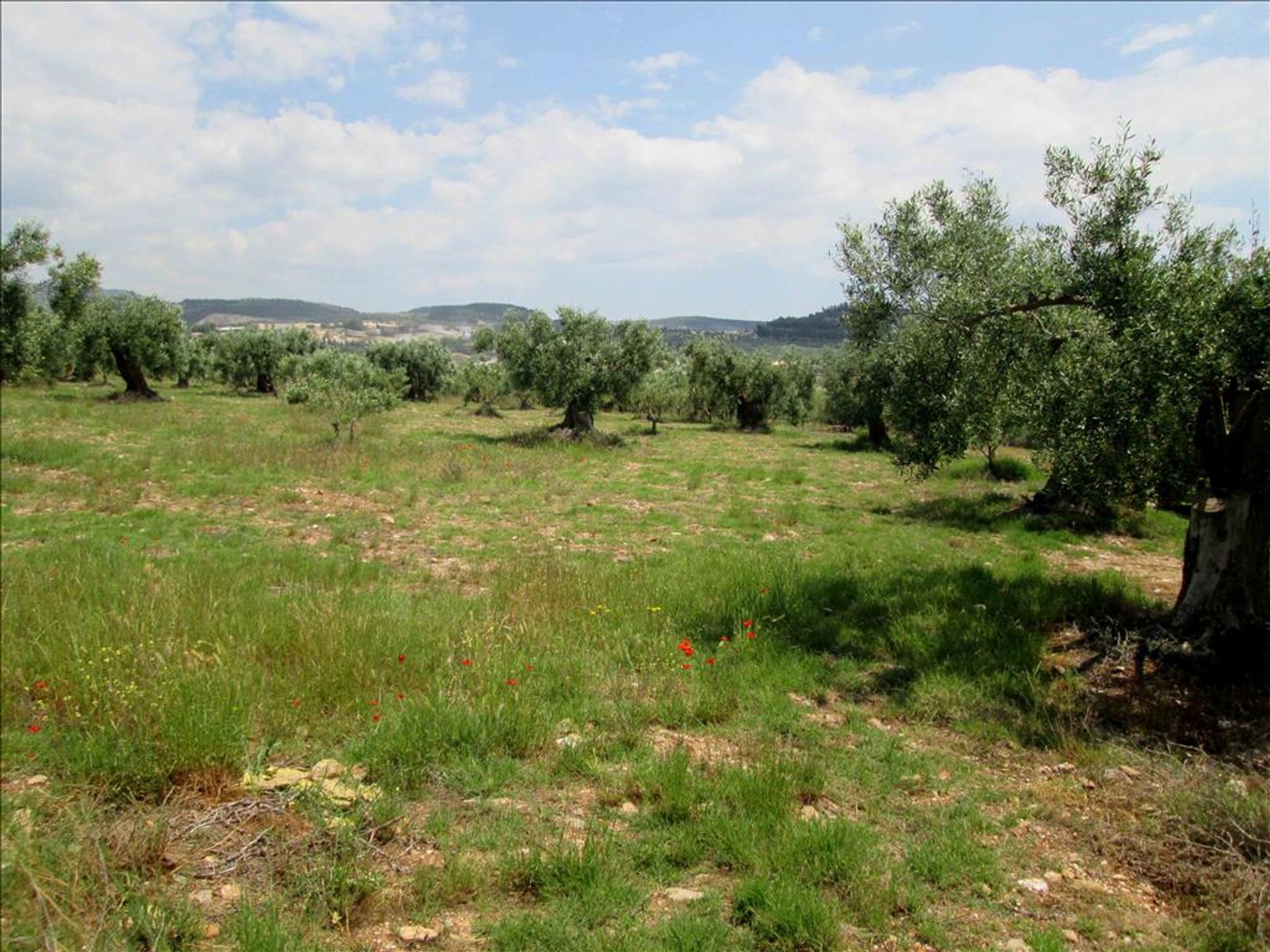 Land in Gerakini, Kentriki Makedonia 10807953