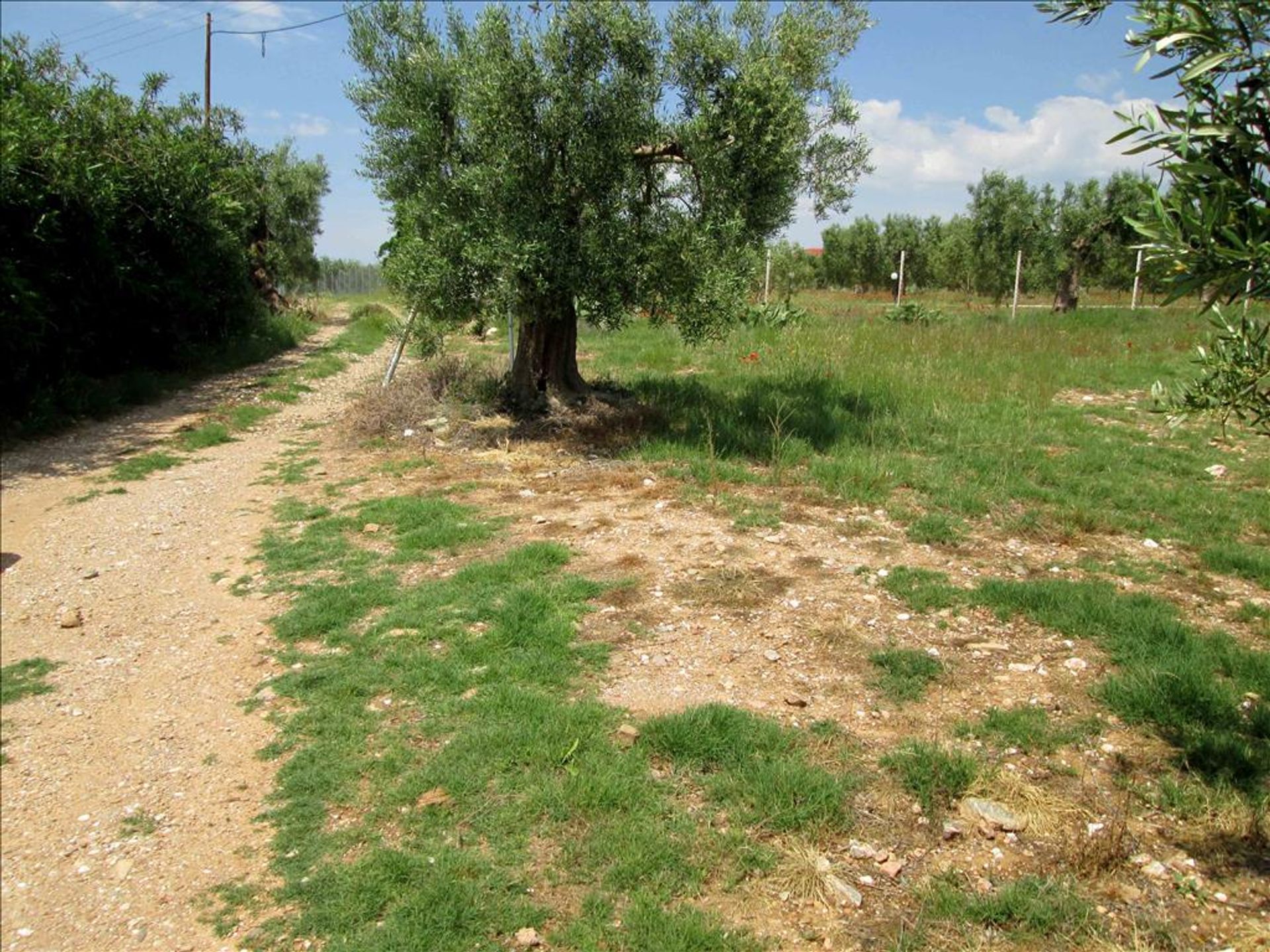 Land in Gerakini, Kentriki Makedonia 10807953