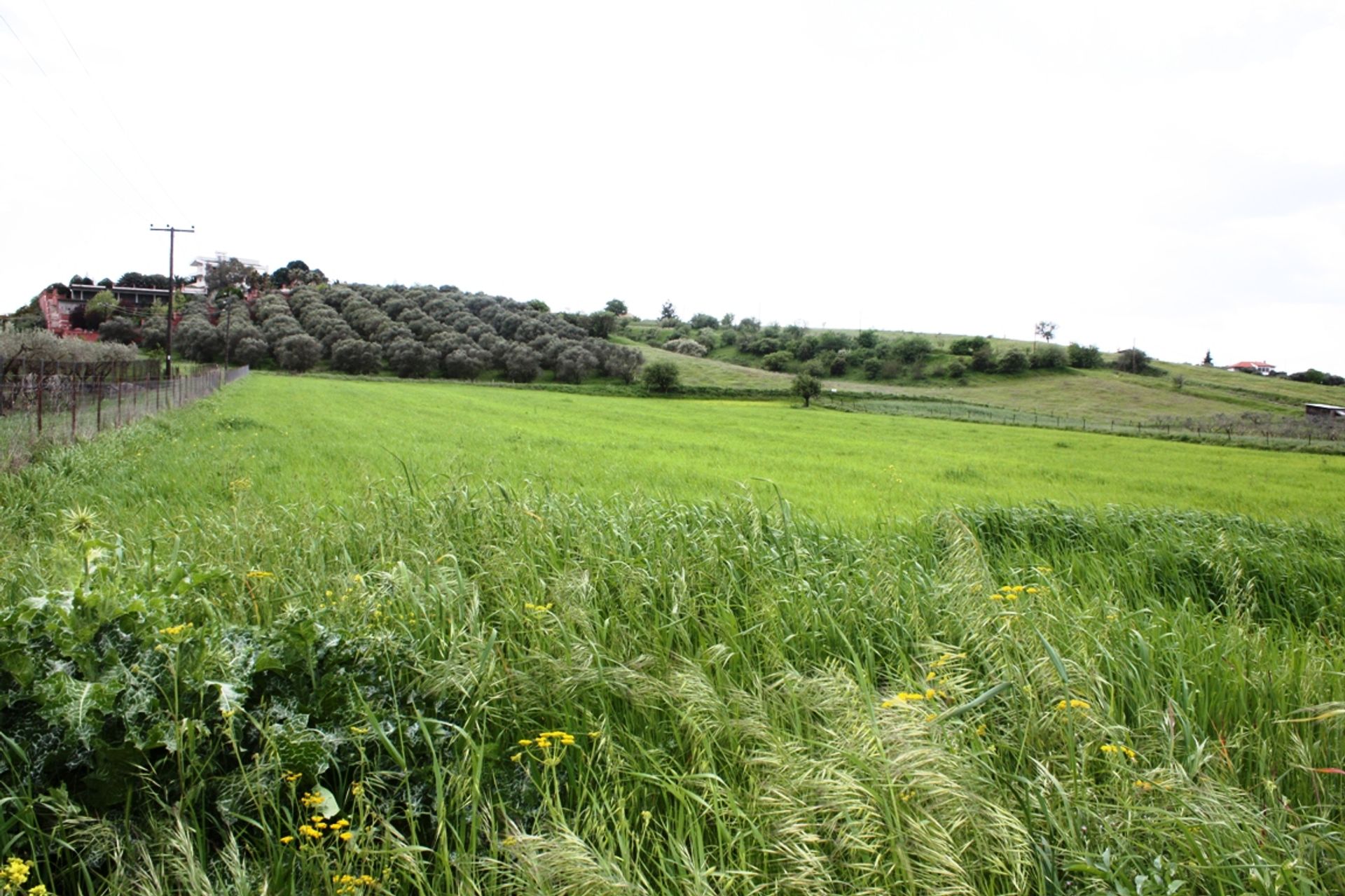 Tanah di Nea Raidestos, Kentriki Makedonia 10807976