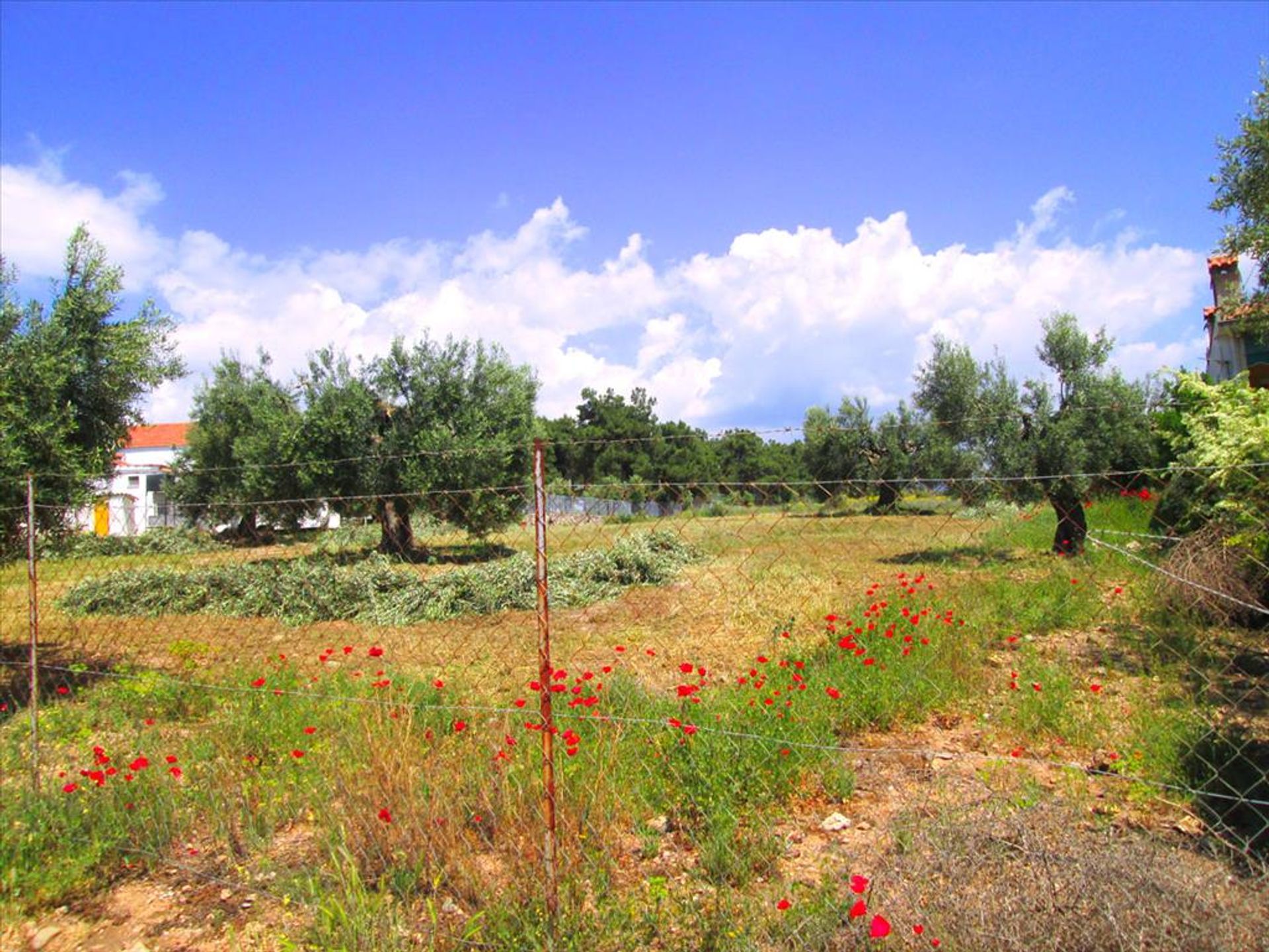 Land i Gerakini, Kentriki Makedonia 10807979