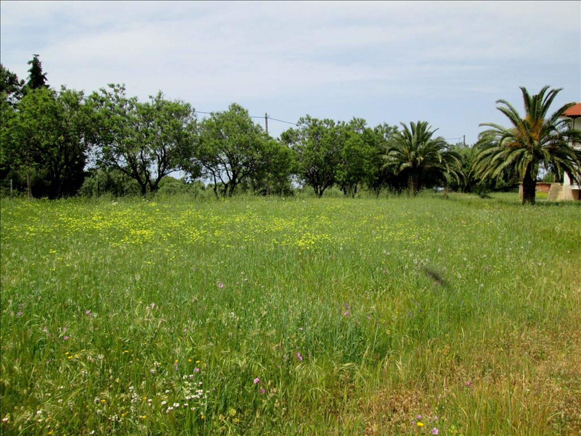 casa en Nikiti, Kentriki Makedonia 10807996