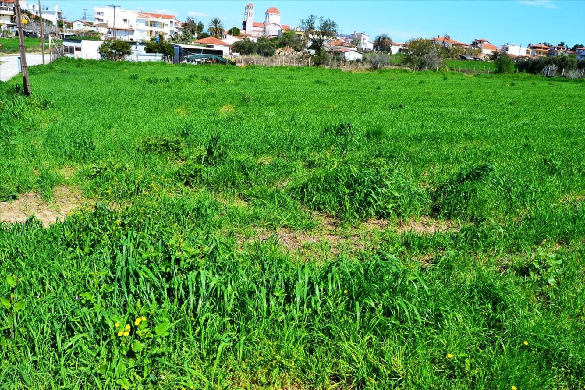 Tanah di Nea Poteidaia, Kentriki Makedonia 10808147