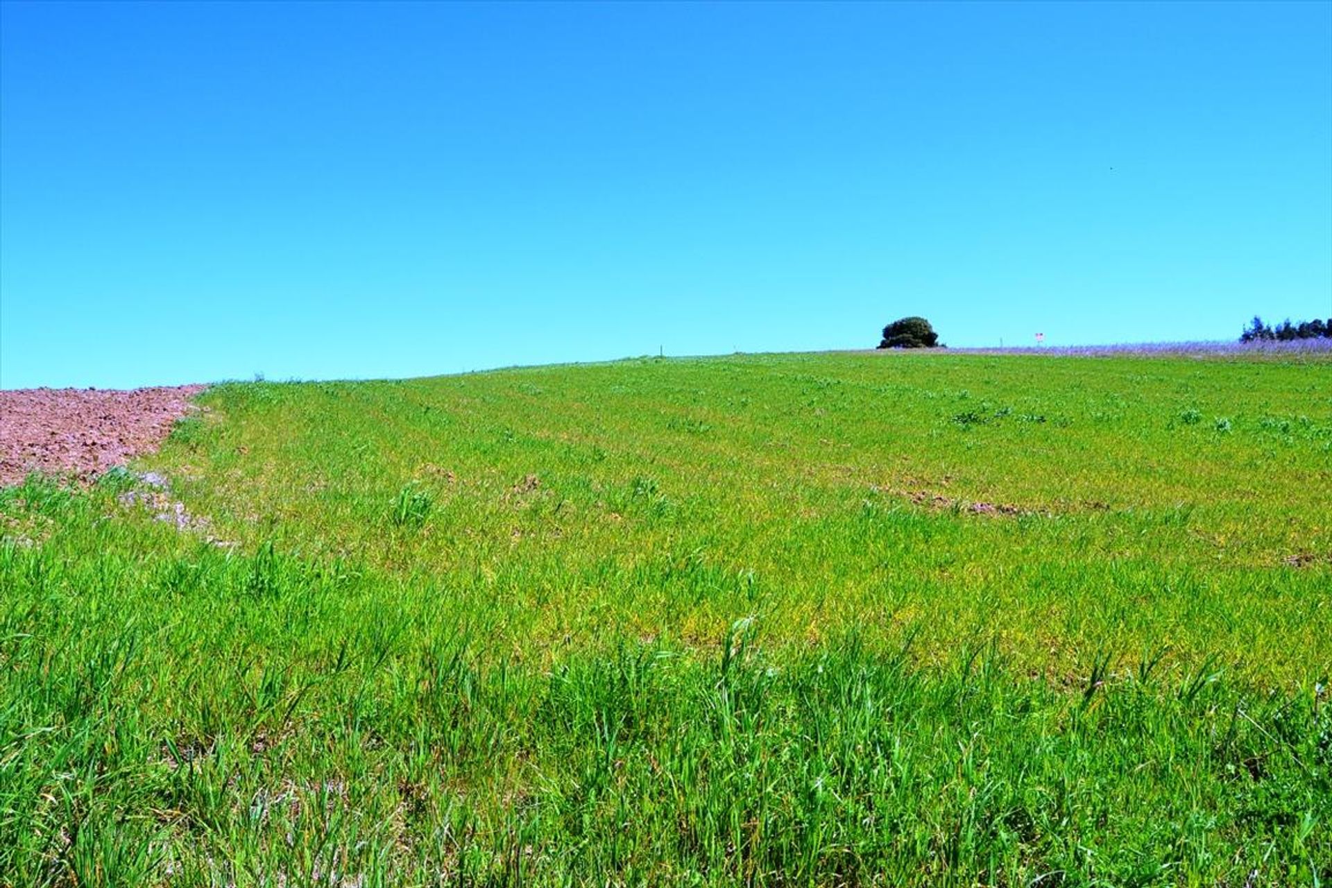 Land in Nea Poteidaia, Kentriki Makedonia 10808150