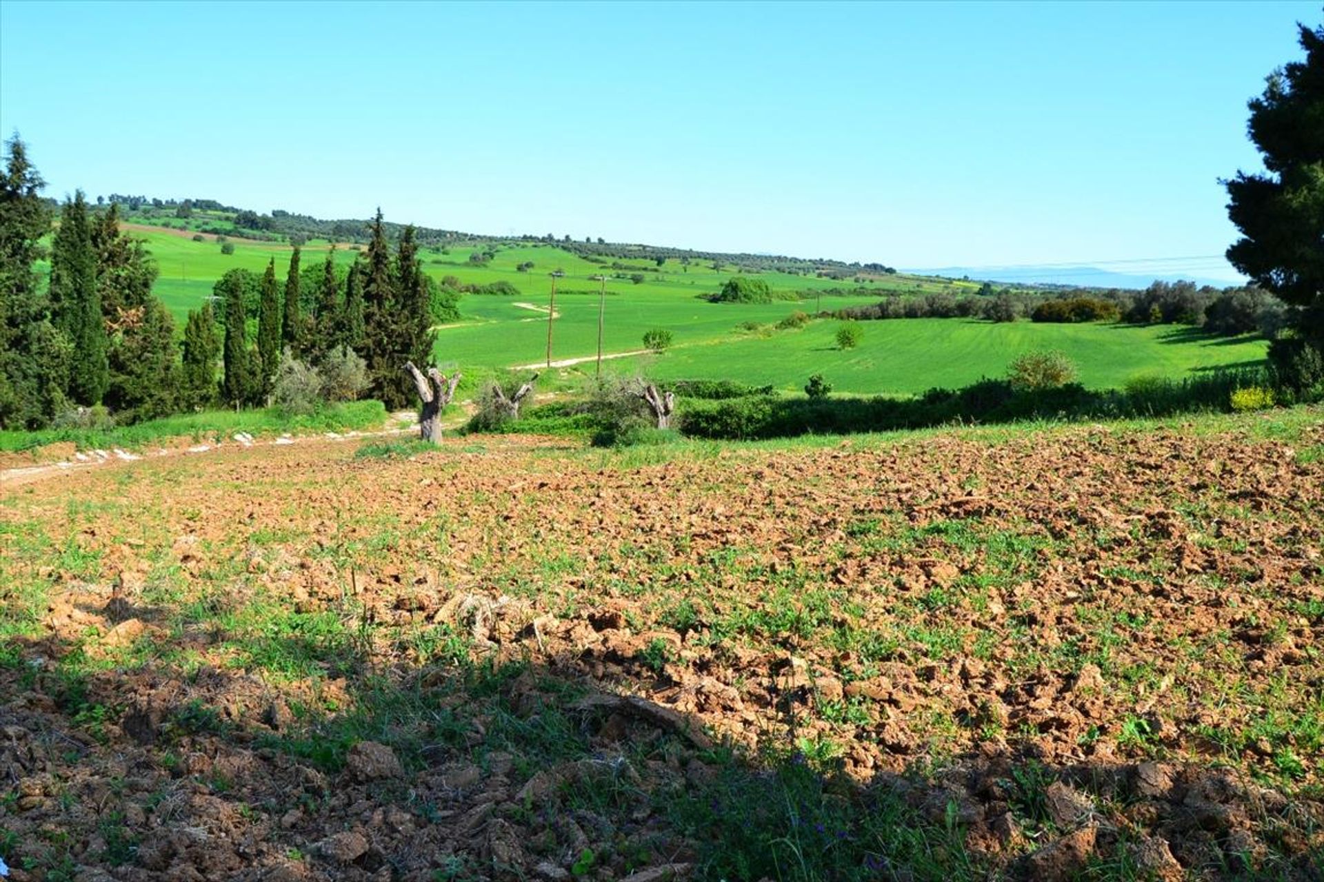 Tanah dalam Kassandreia, Kentriki Makedonia 10808178