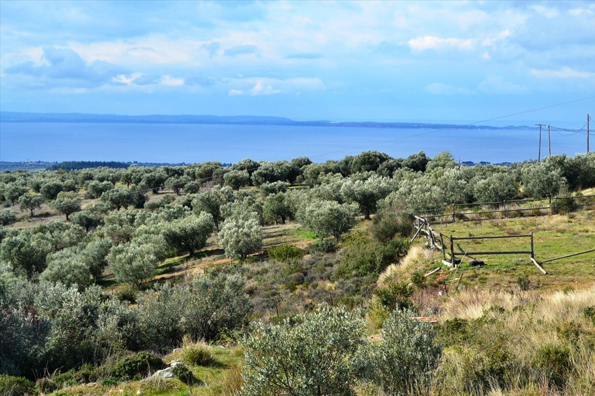 Βιομηχανικός σε Polygyros, Kentriki Makedonia 10808208