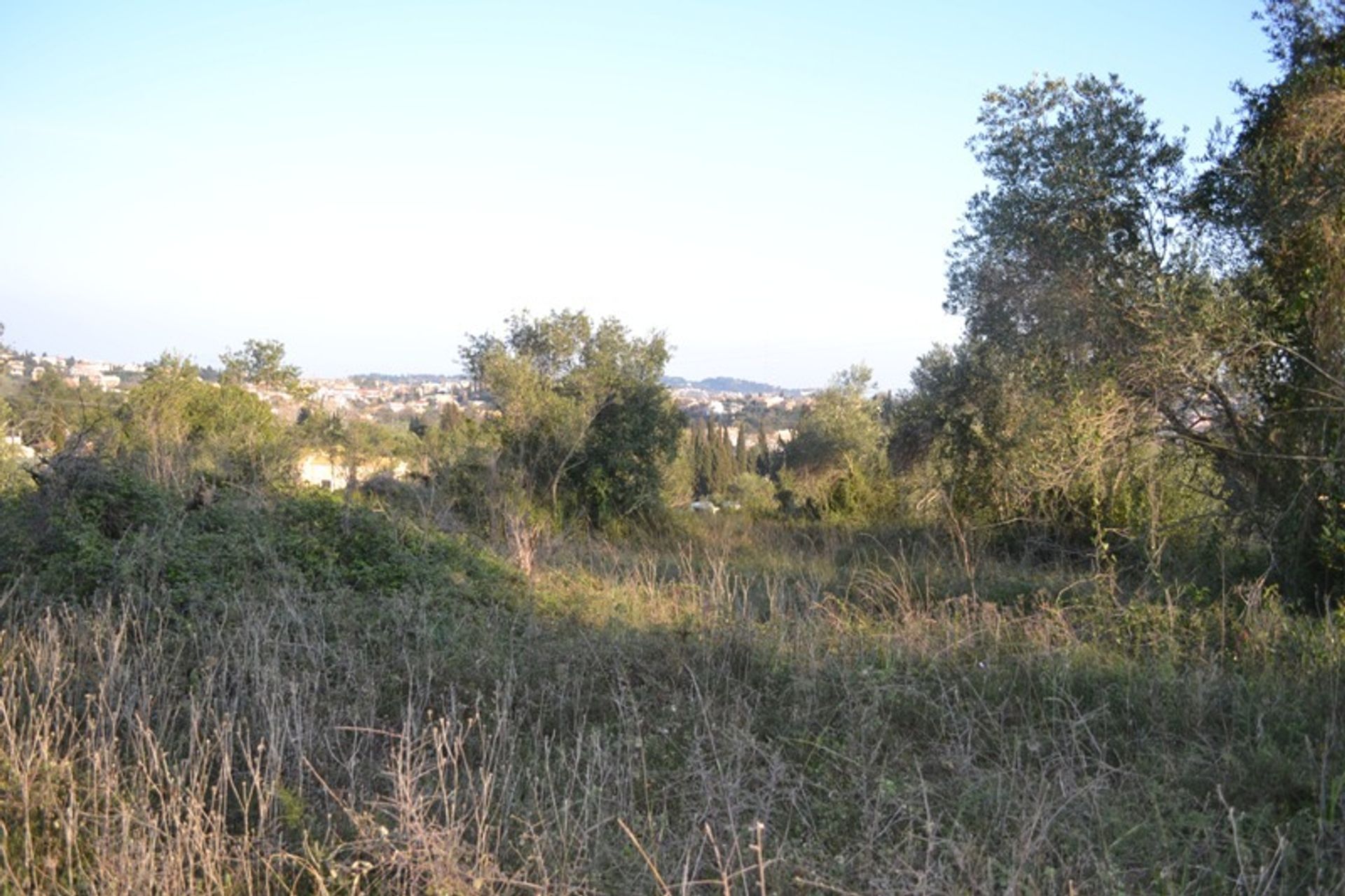 ארץ ב מנטוקי, יוניה ניסיה 10808251