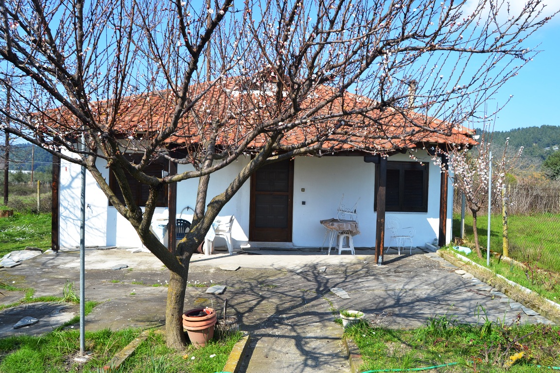 House in Ozansu, Bayburt 10808264