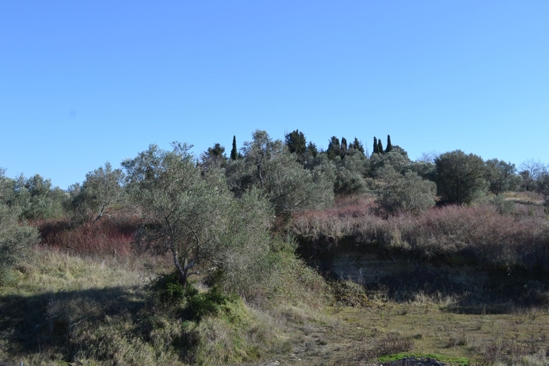 الأرض في Sidari, Ionia Nisia 10808408