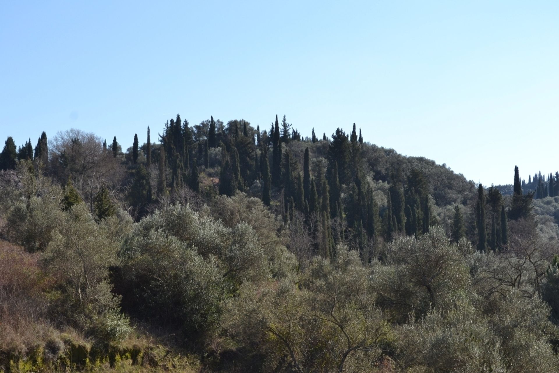 Terra no Sidari, Ionia Nisia 10808408