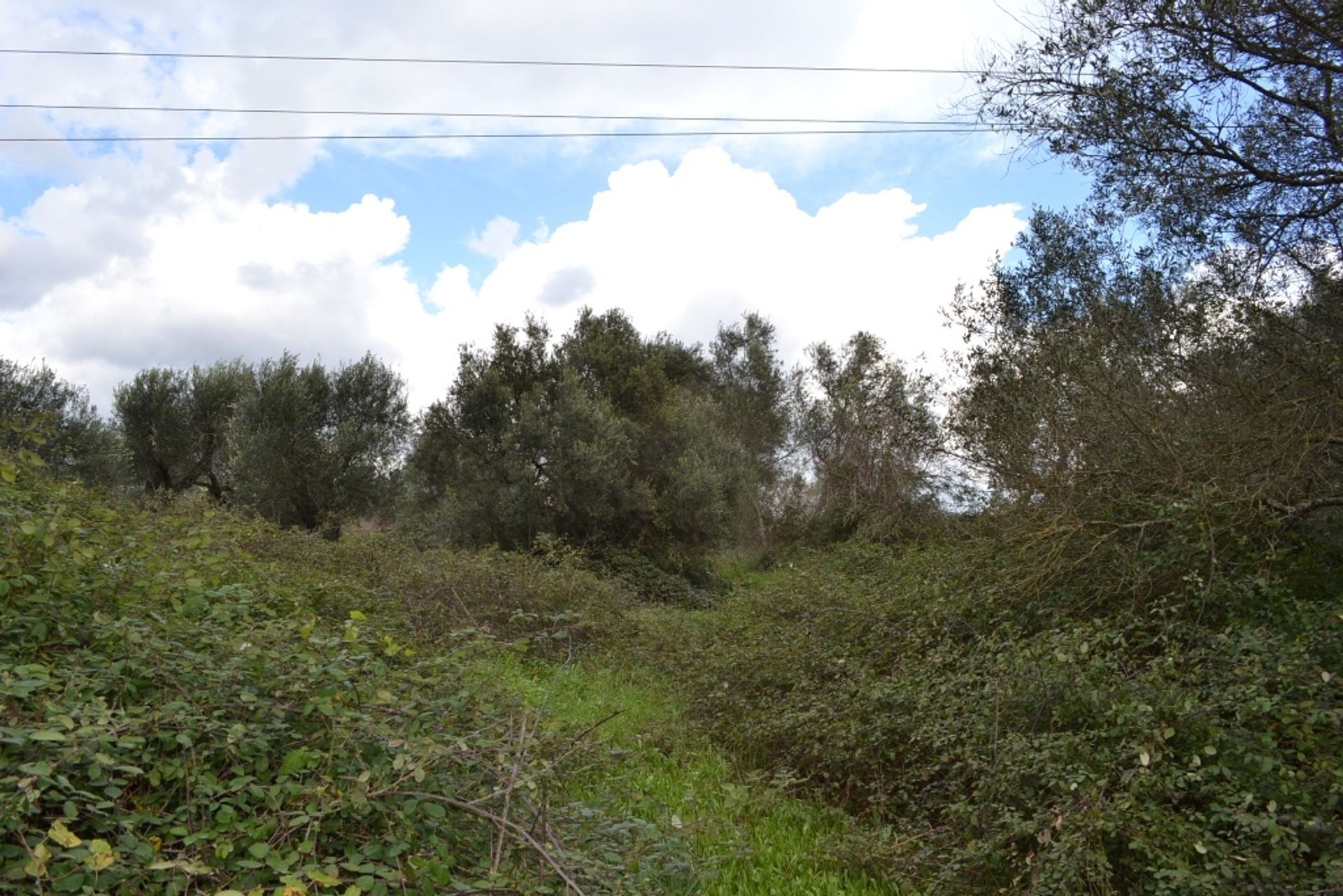 Land i Ypsos, Ionia Nisia 10808444