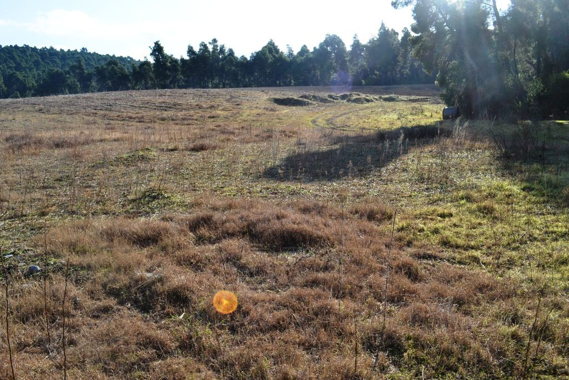 Terre dans Nouvelle Poteidaia, Kentriki Macédoine 10808557