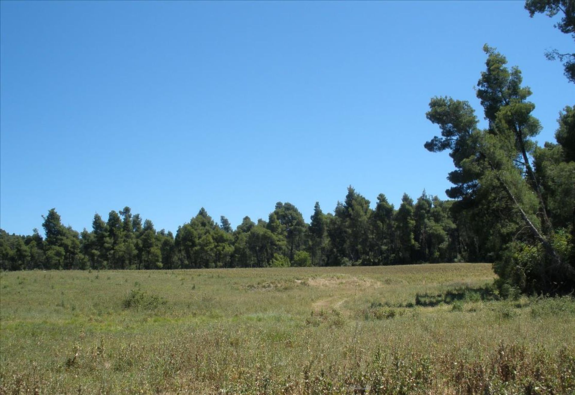 Terra no Nea Poteidaia, Kentriki Makedonia 10808557