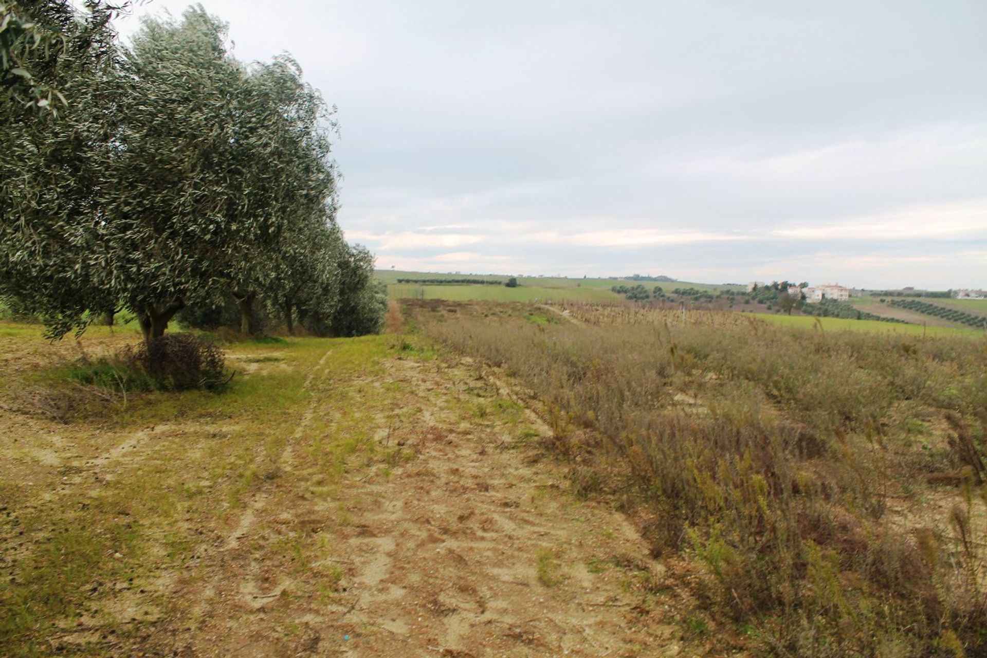 Земля в Перайя, Kentriki Makedonia 10808623