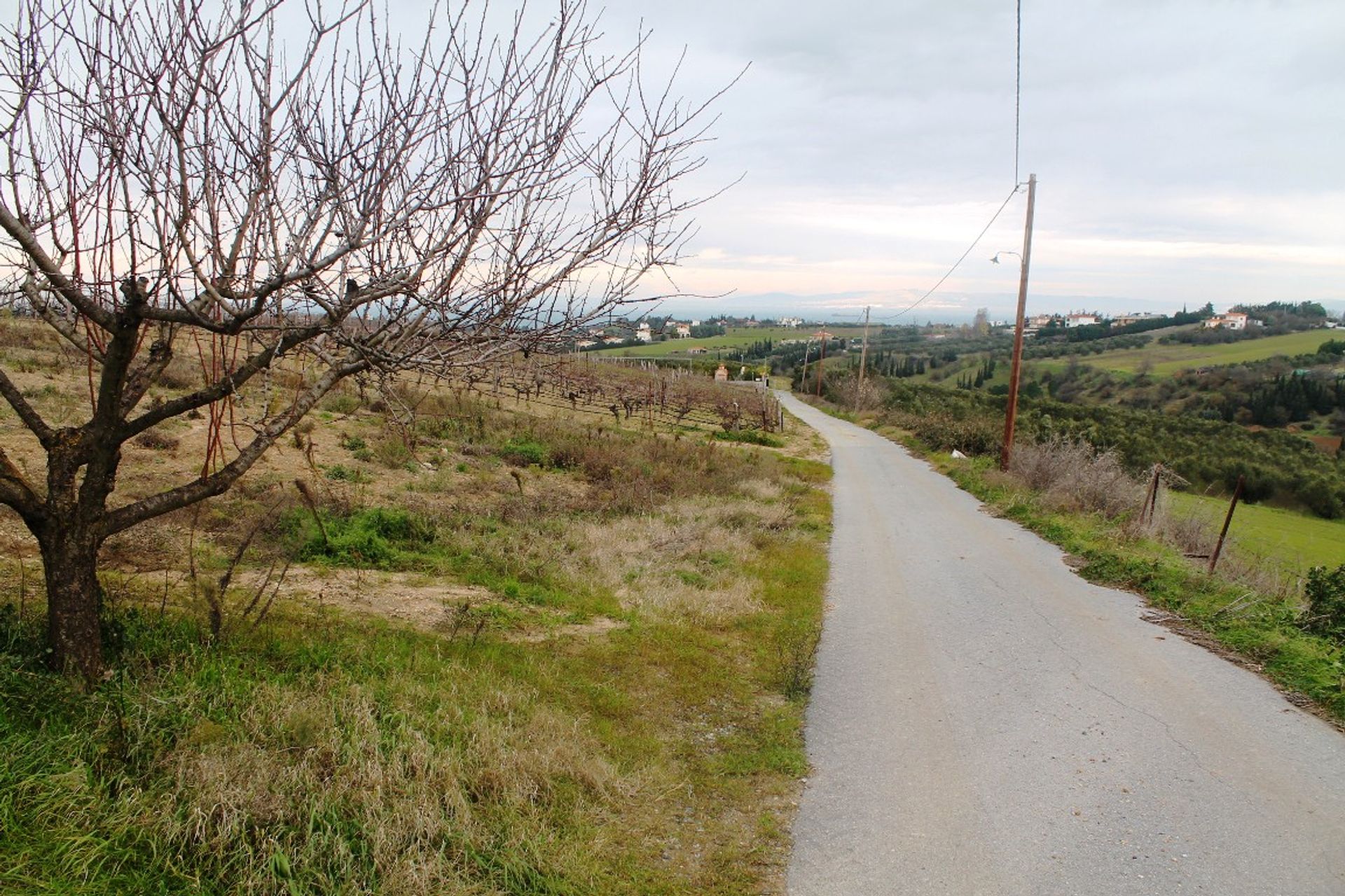 Terra no Peraia, Kentriki Makedonia 10808623