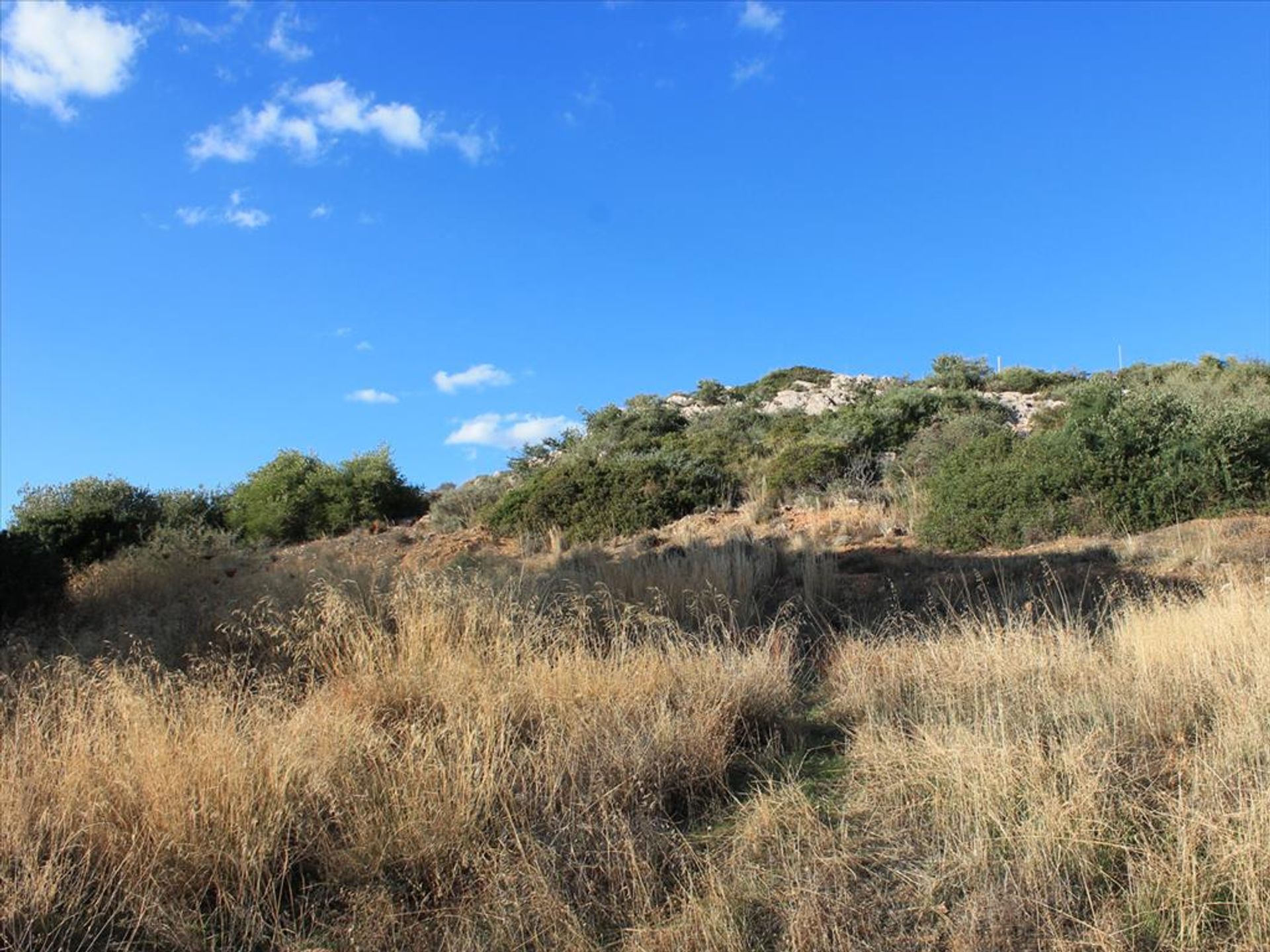 Tierra en Olimpo, Ático 10808747