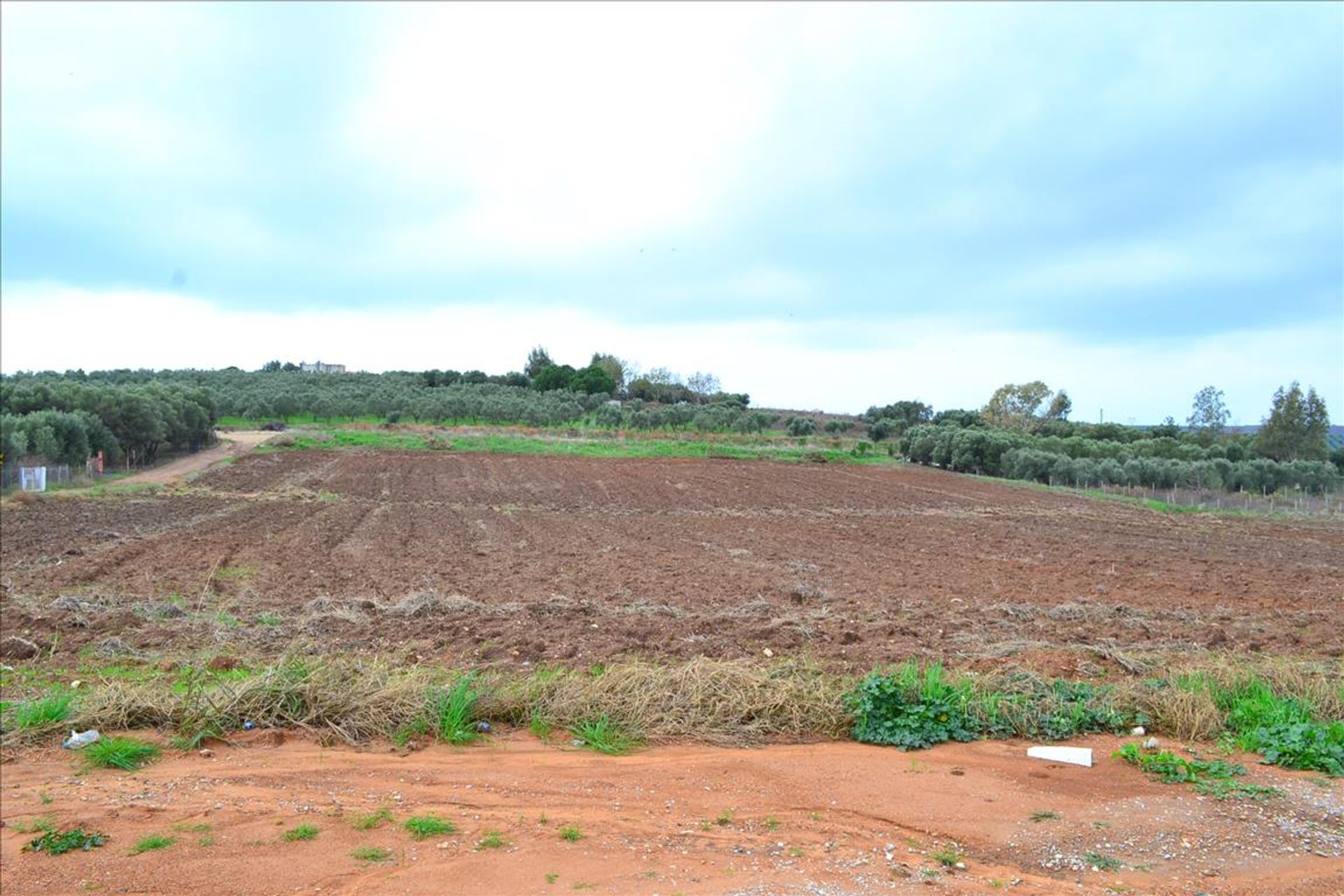 Land in Cassandreia,  10808782