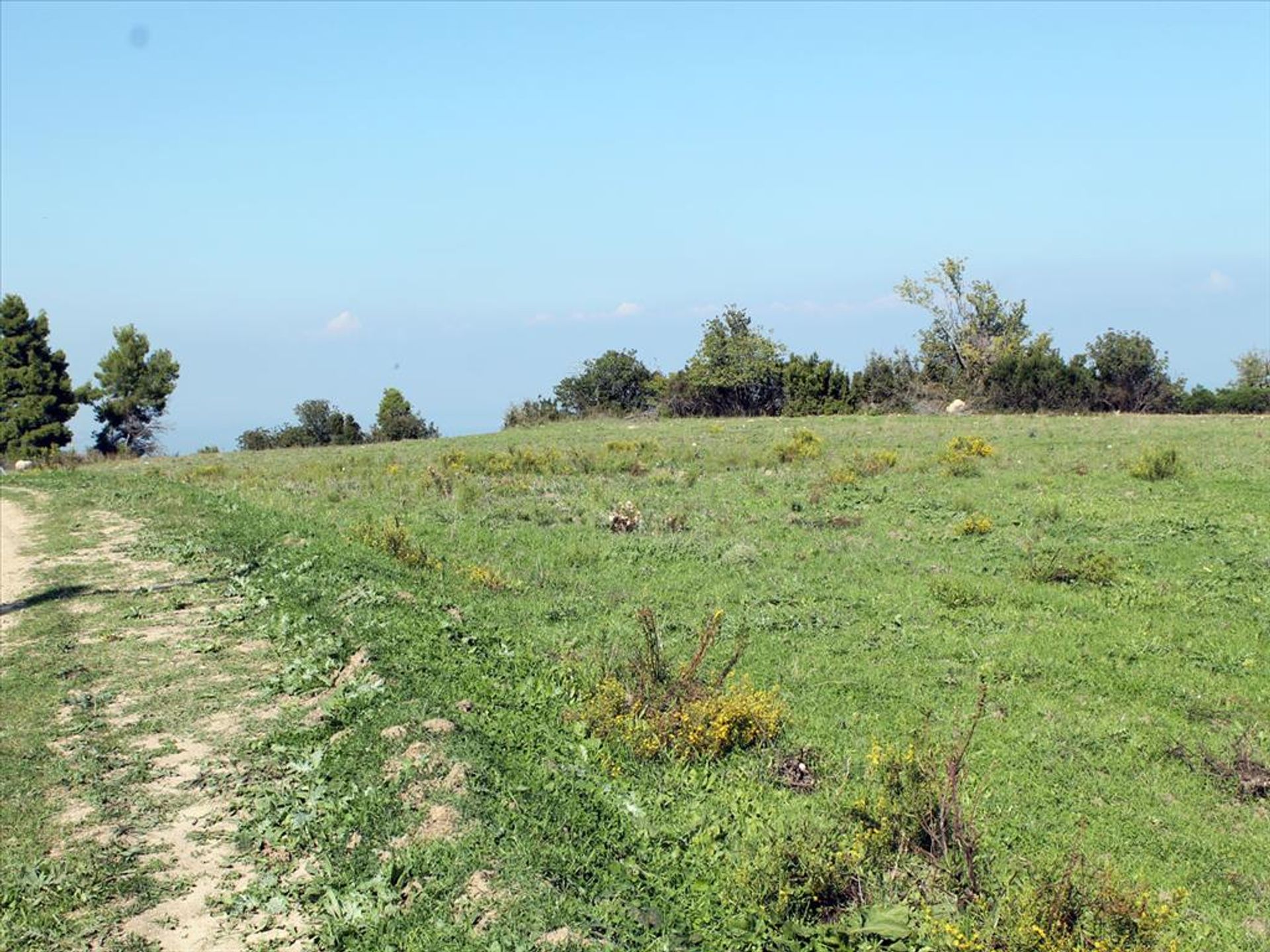 Land in Kassandreia, Kentriki Makedonia 10808846