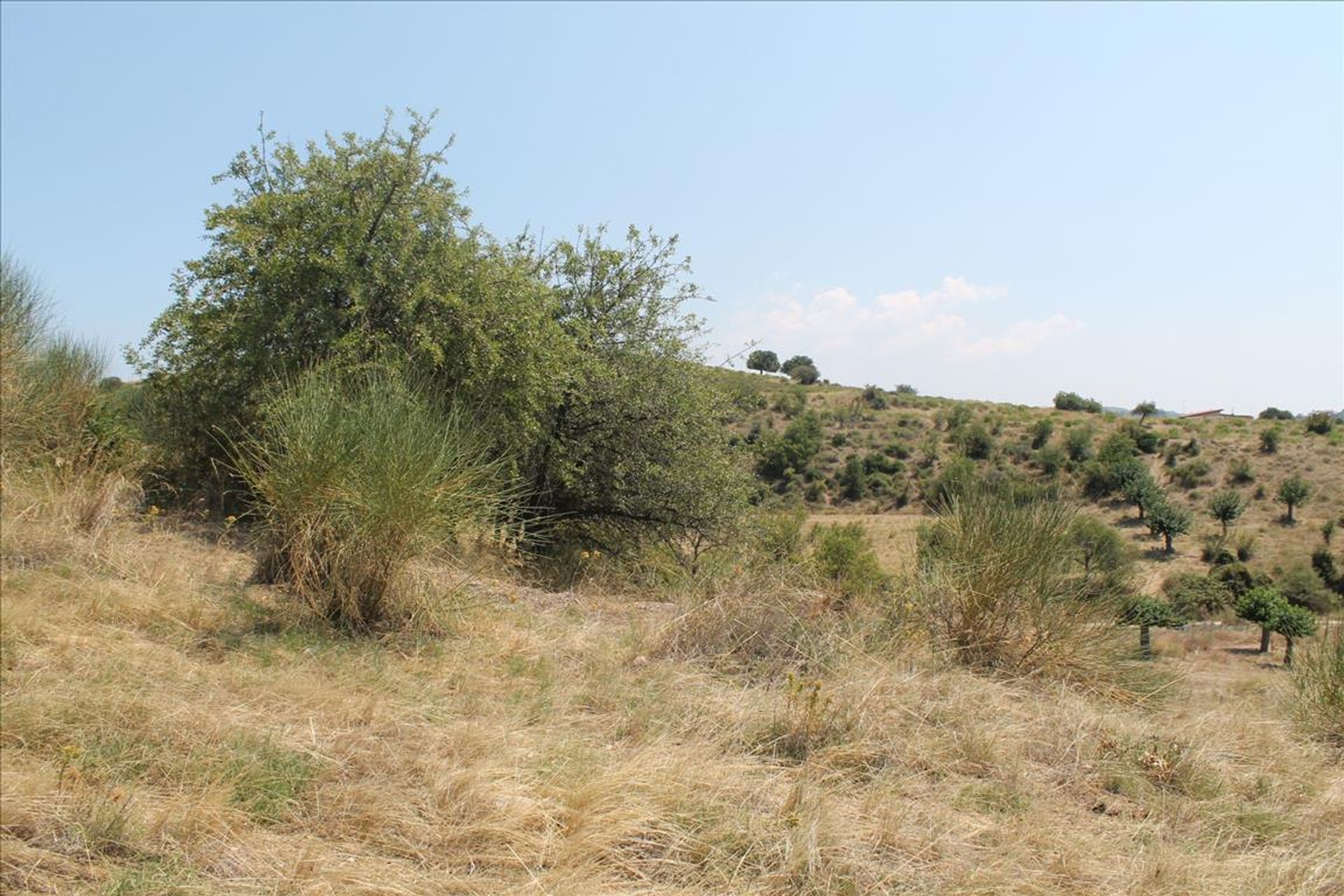 Tanah di Agios Nikolaos,  10808926