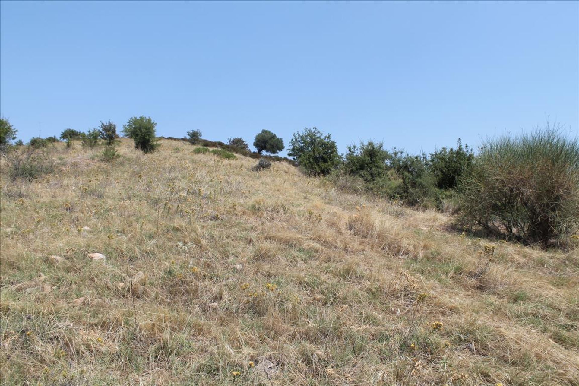 Land in Agios Nikolaos,  10808926