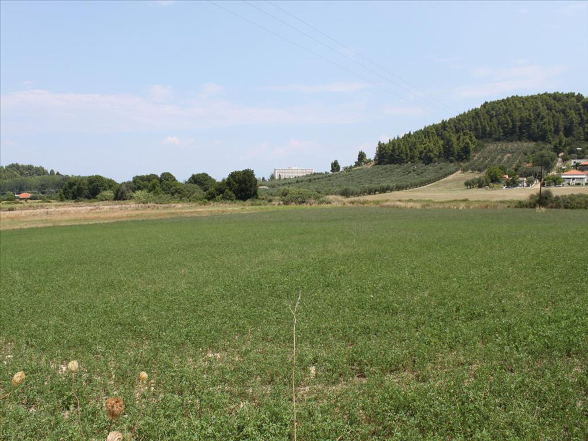 Land i Cassandreia, Kentriki Makedonia 10808993