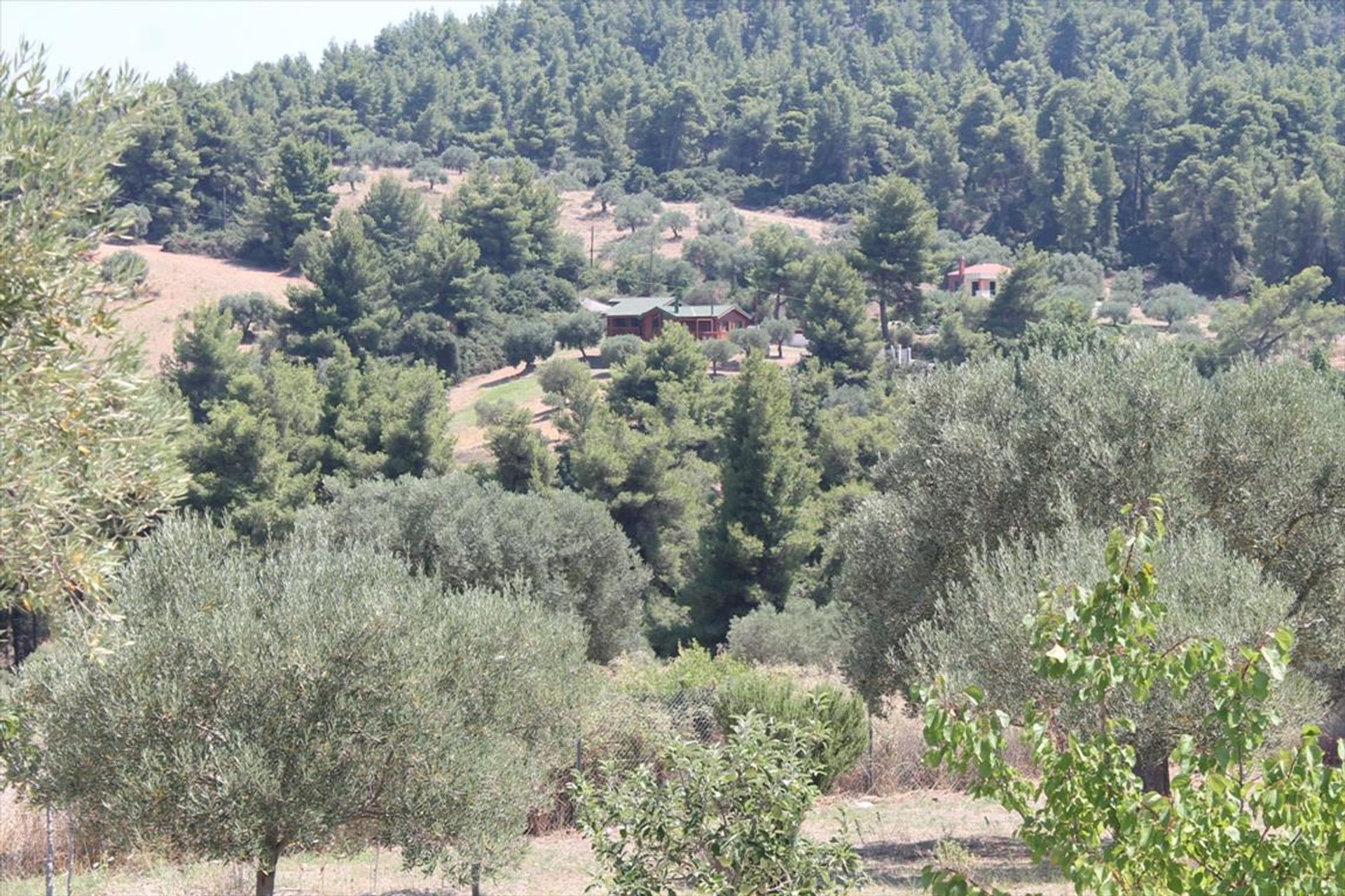 House in Chrousou,  10809024