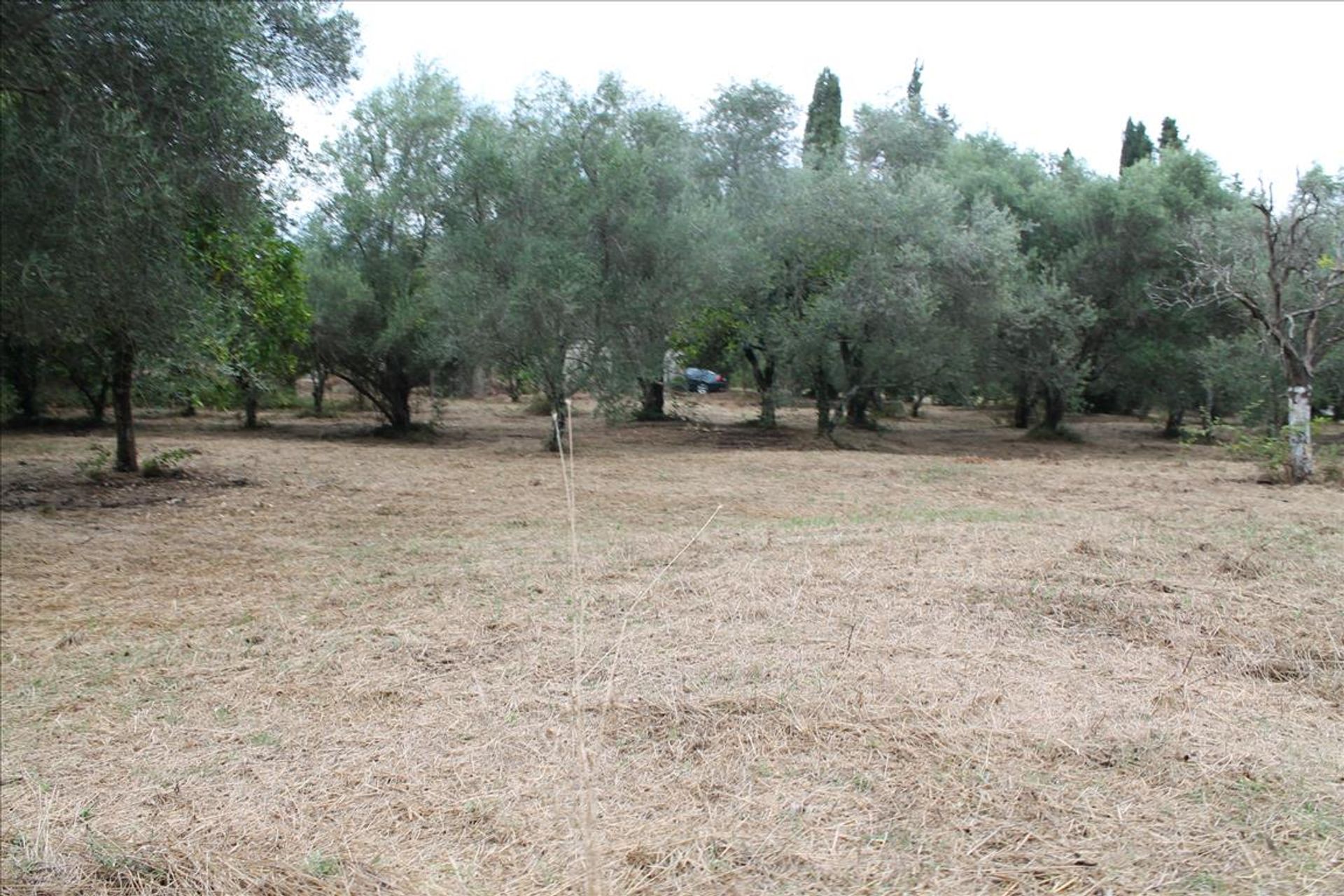 Land in Limni,  10809039