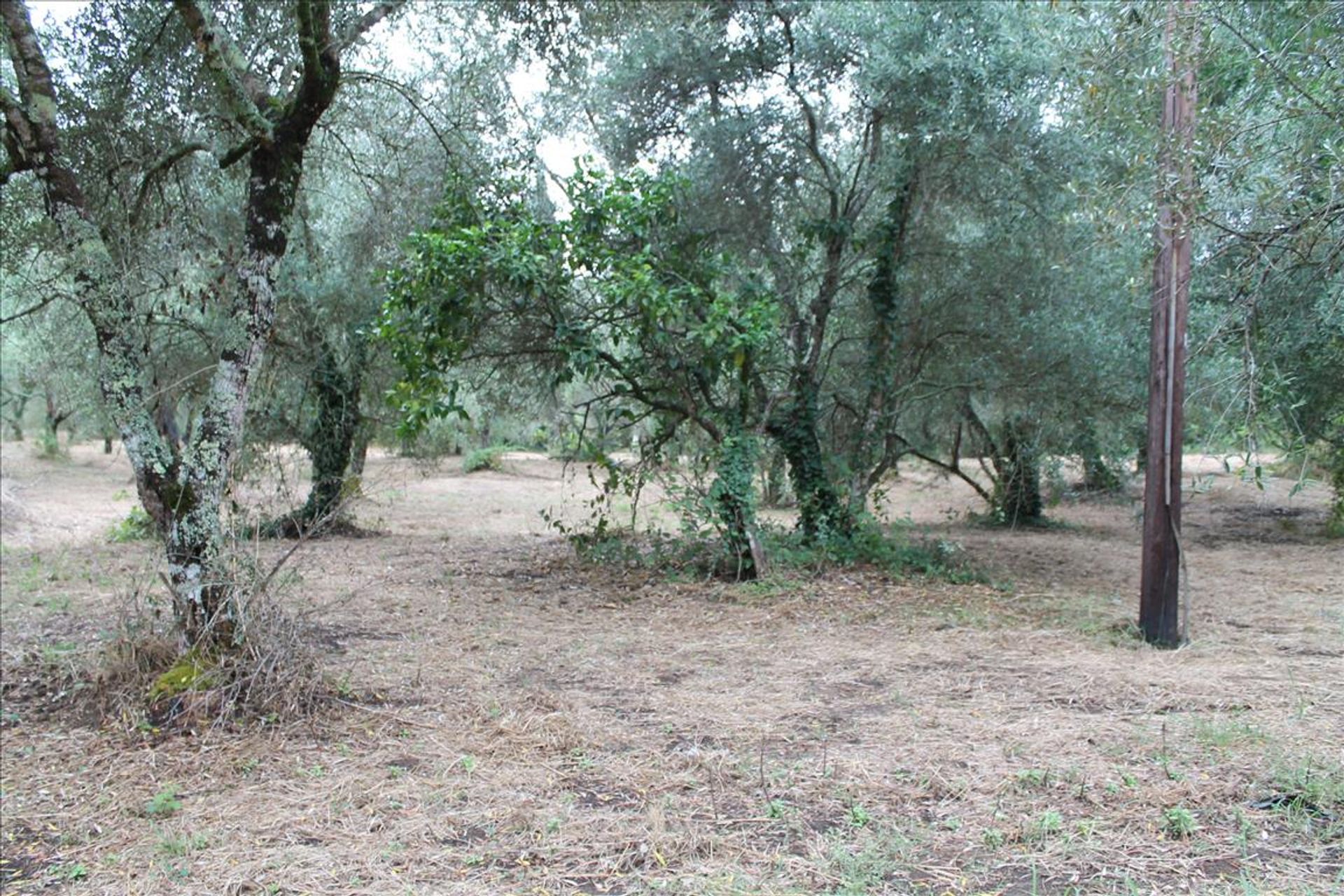 Land in Kontokali, Ionië Nisia 10809039