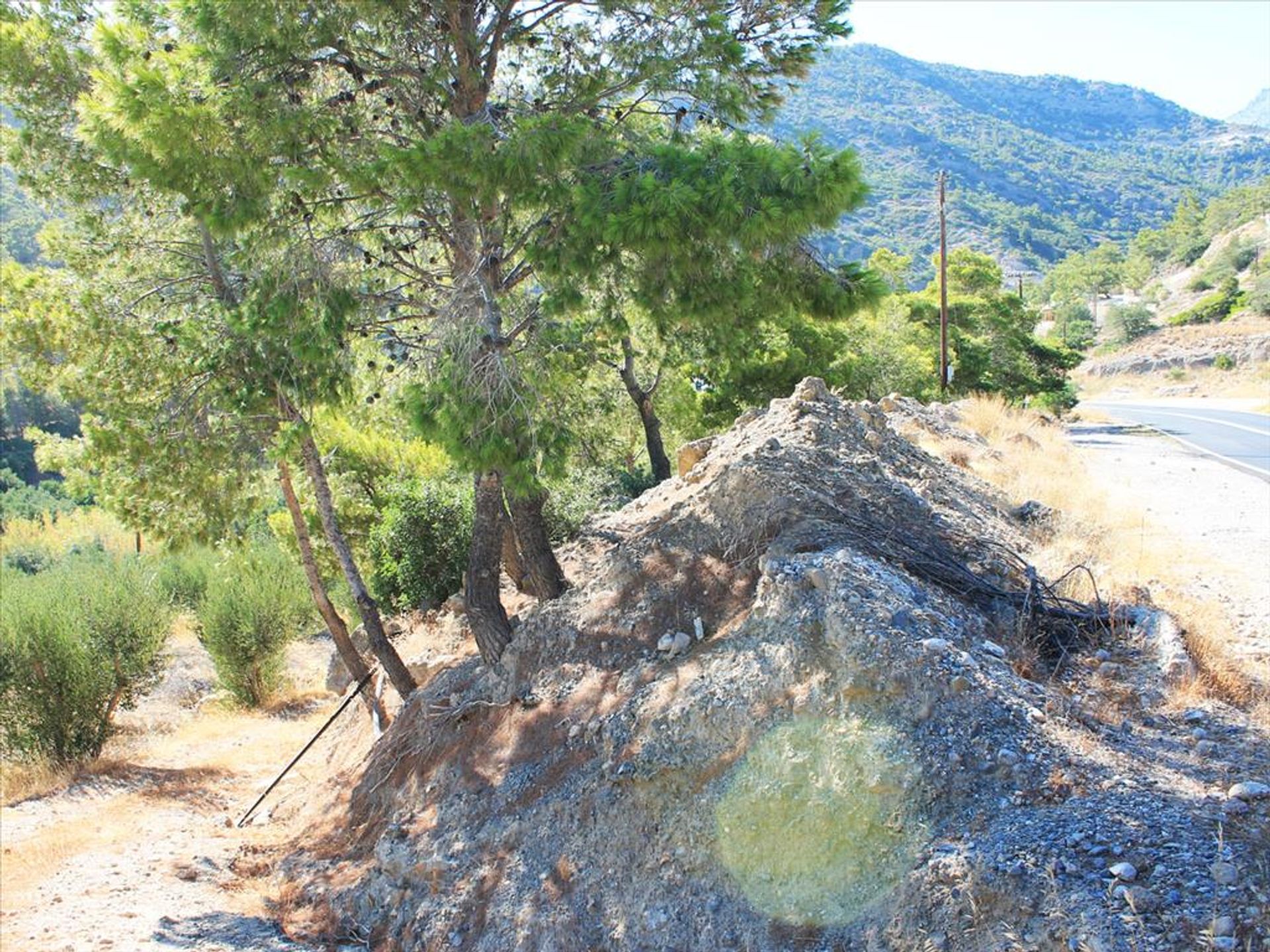 Tierra en Koutsouras, criti 10809054