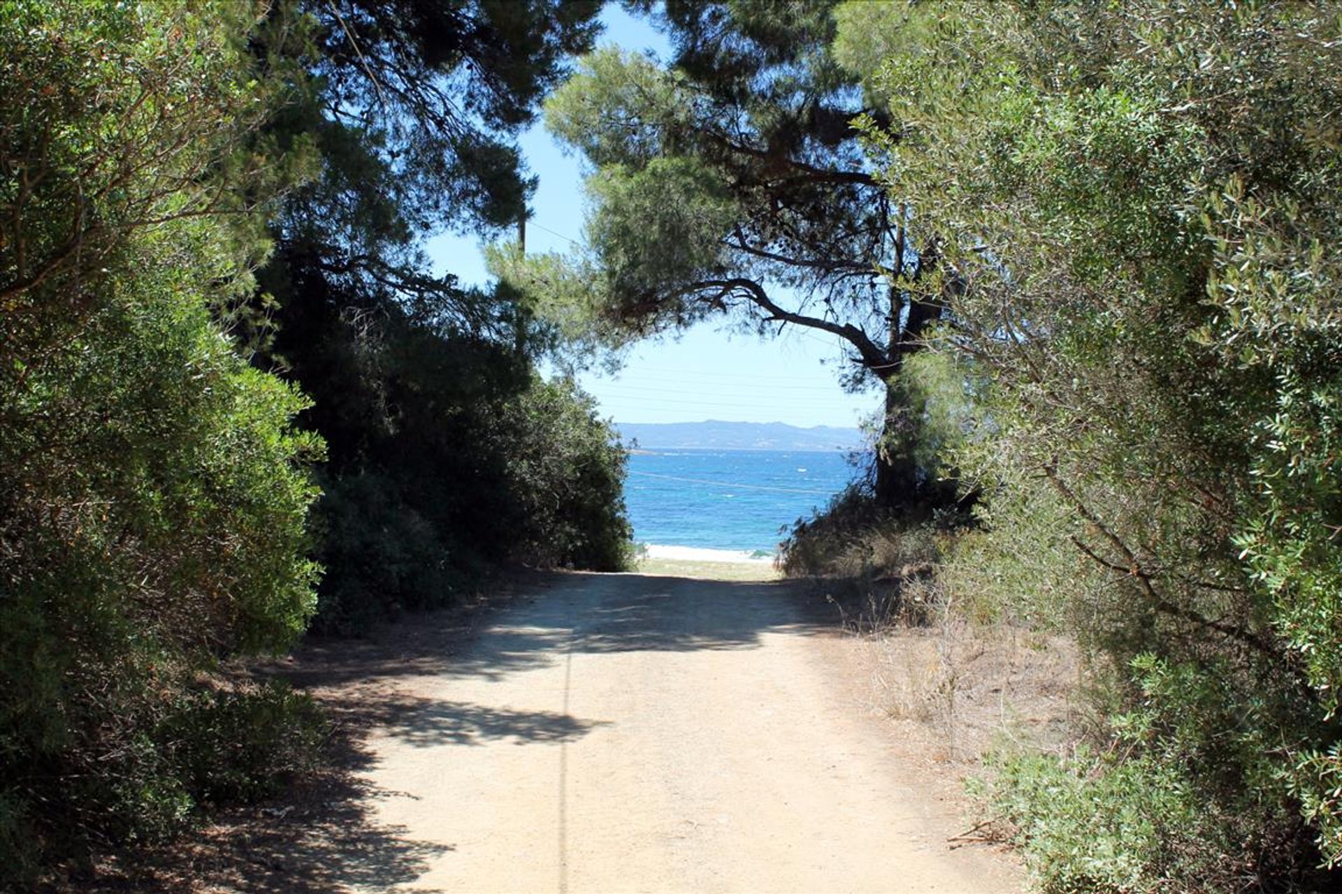 Γη σε Νέος Μαρμαράς, Κεντρική Μακεδονία 10809069